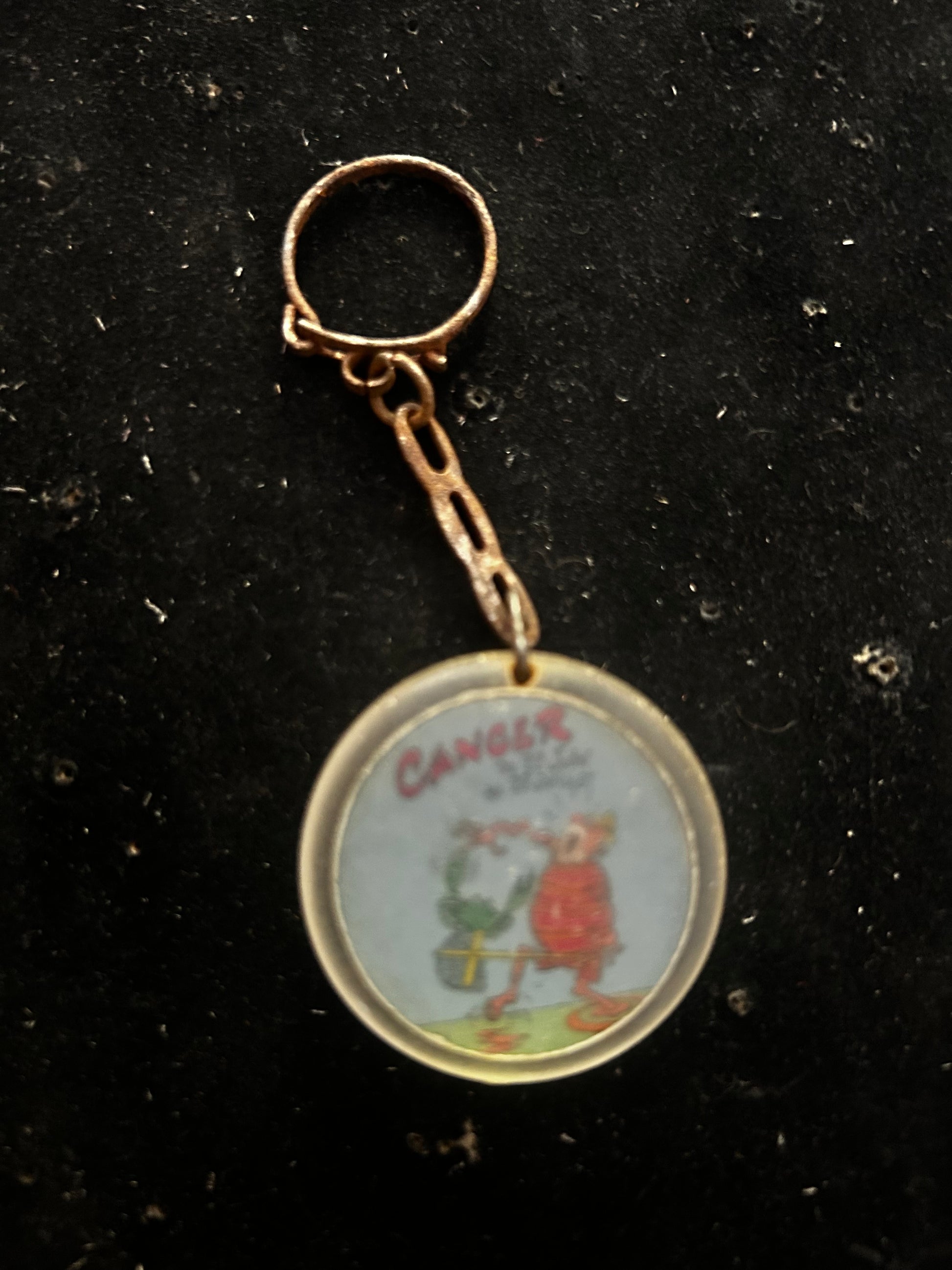 Porte clefs humoristique signes du zodiaque Cancer et verseau