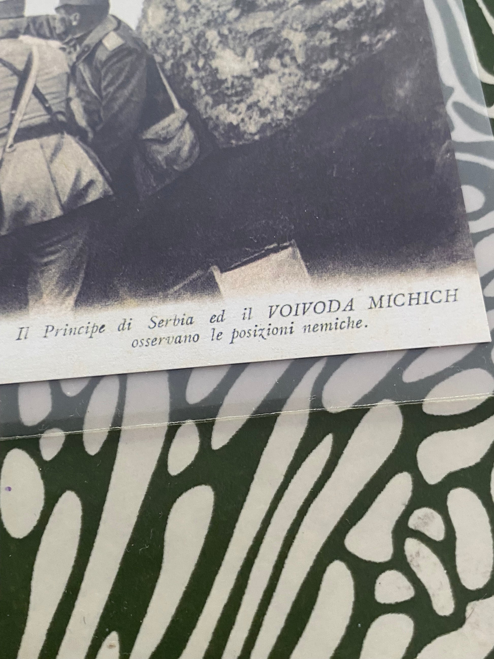 Carte postale ancienne. Le prince de Serbie et le Voivod Michitch observant les positions ennemies. Dans une pochette de protection