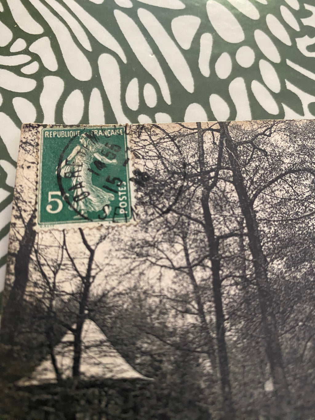 Carte postale ancienne Barbizon. Parc de l’hôtel de la forêt