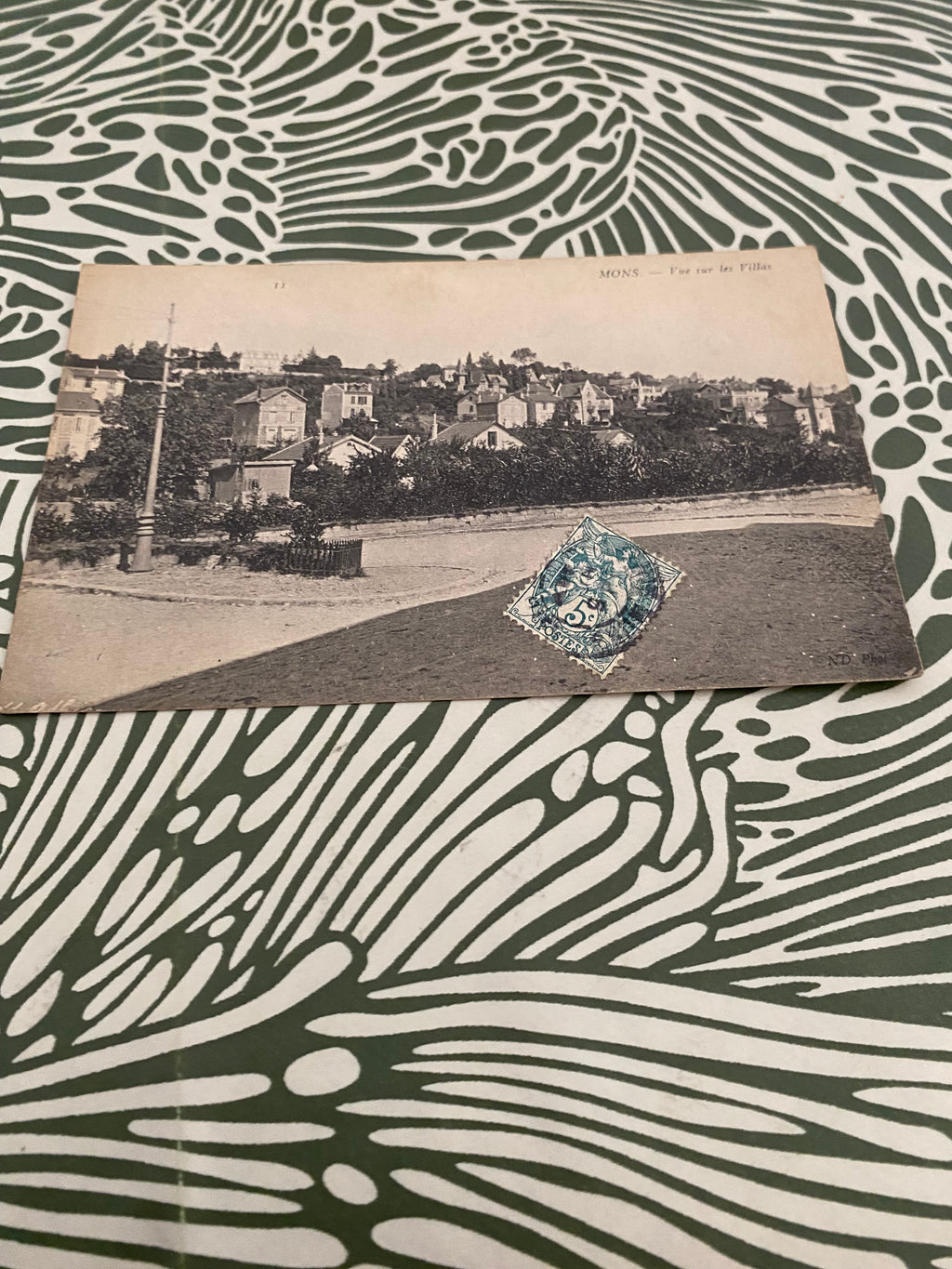 Carte postale ancienne Mons. Vu sur les villas.