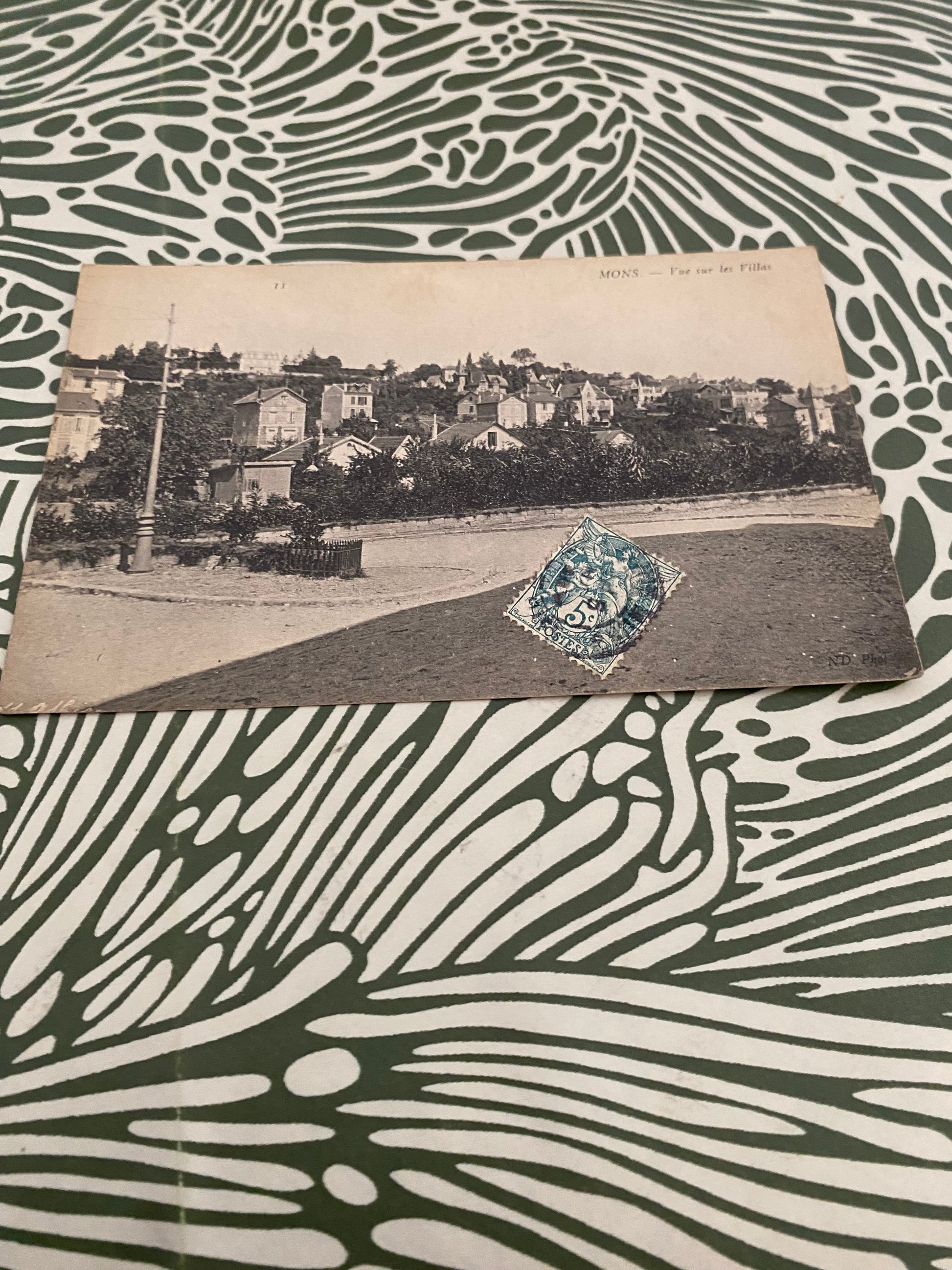 Carte postale ancienne Mons. Vu sur les villas.