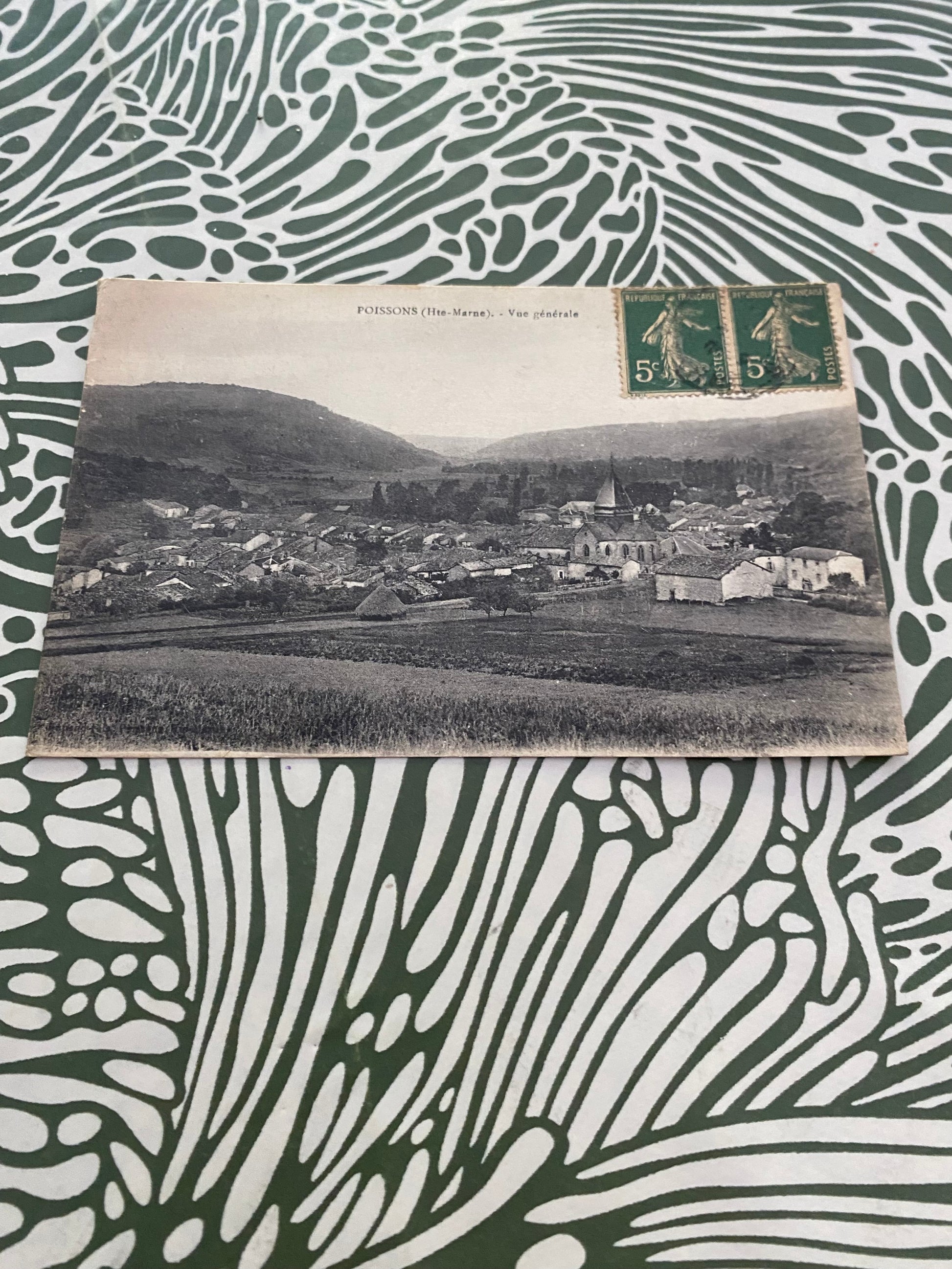 Carte postale ancienne Poissons haute Marne. Vue générale