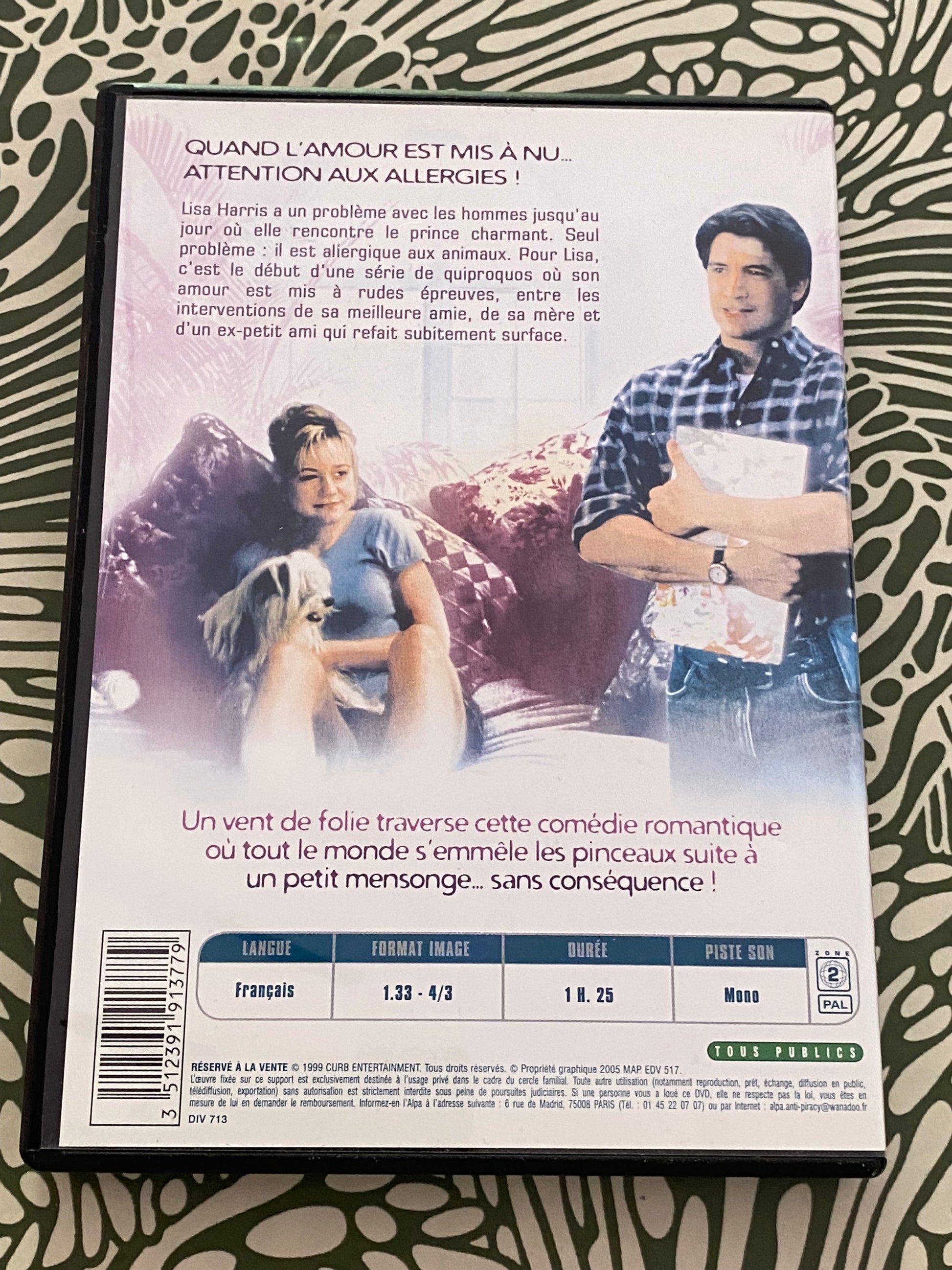 DVD film. Un mensonge sans conséquence