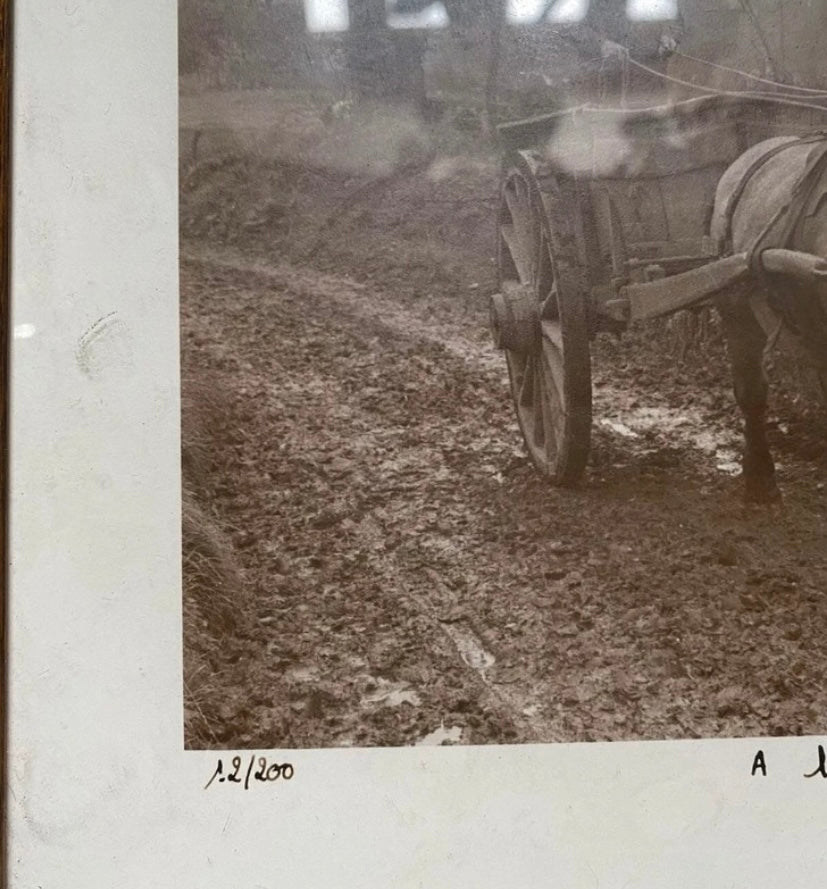 Photo véritable Gernot numérotée et signée. A l’approche de l’hiver