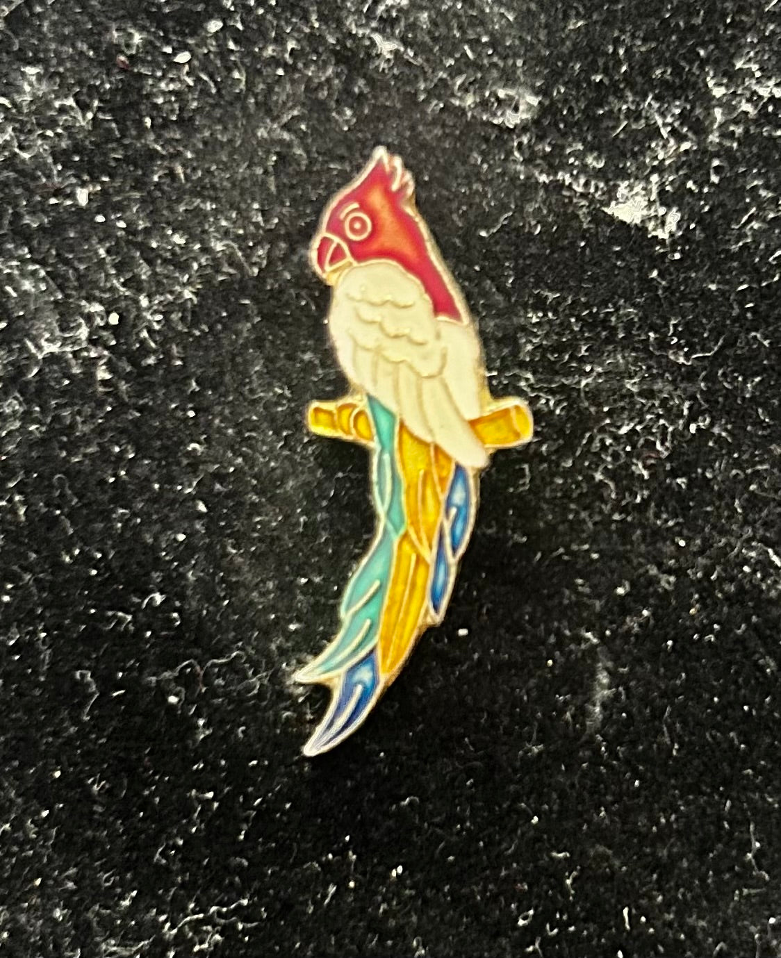 Pin’s ancien Perroquet