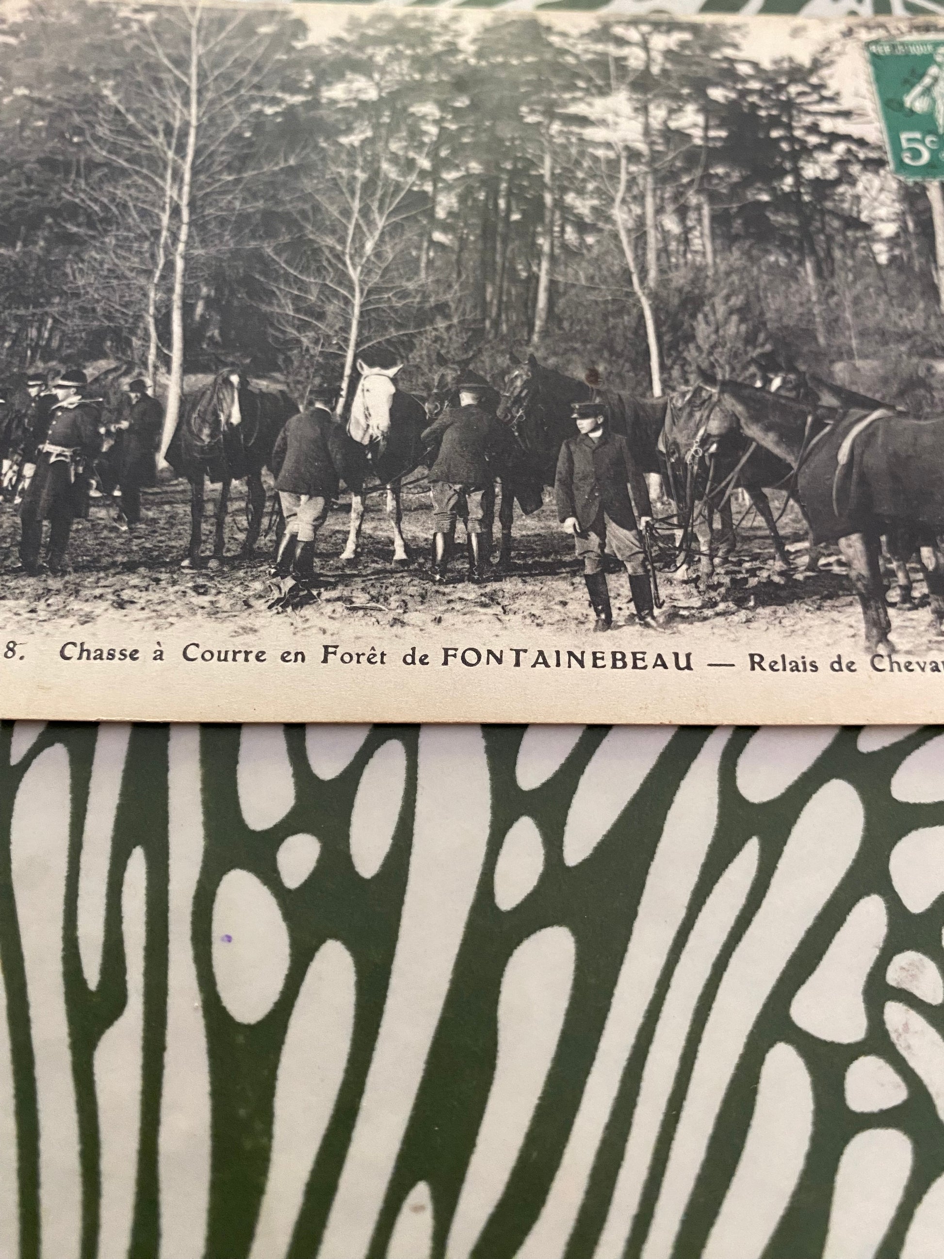 Carte postale ancienne. Chasse à courre en forêt de Fontainebleau. Relais de cheval