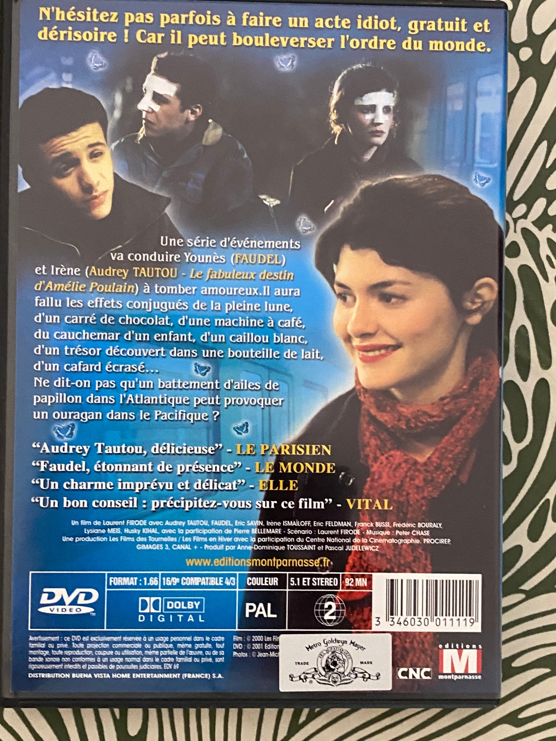 DVD film Le battement d’ailes du papillon