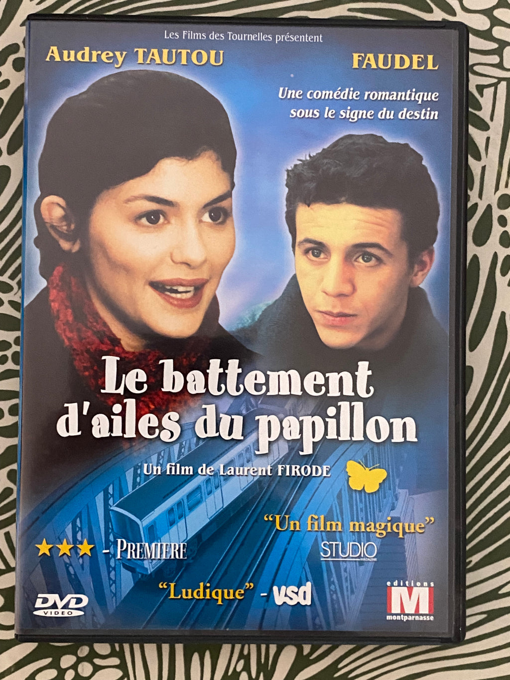 DVD film Le battement d’ailes du papillon