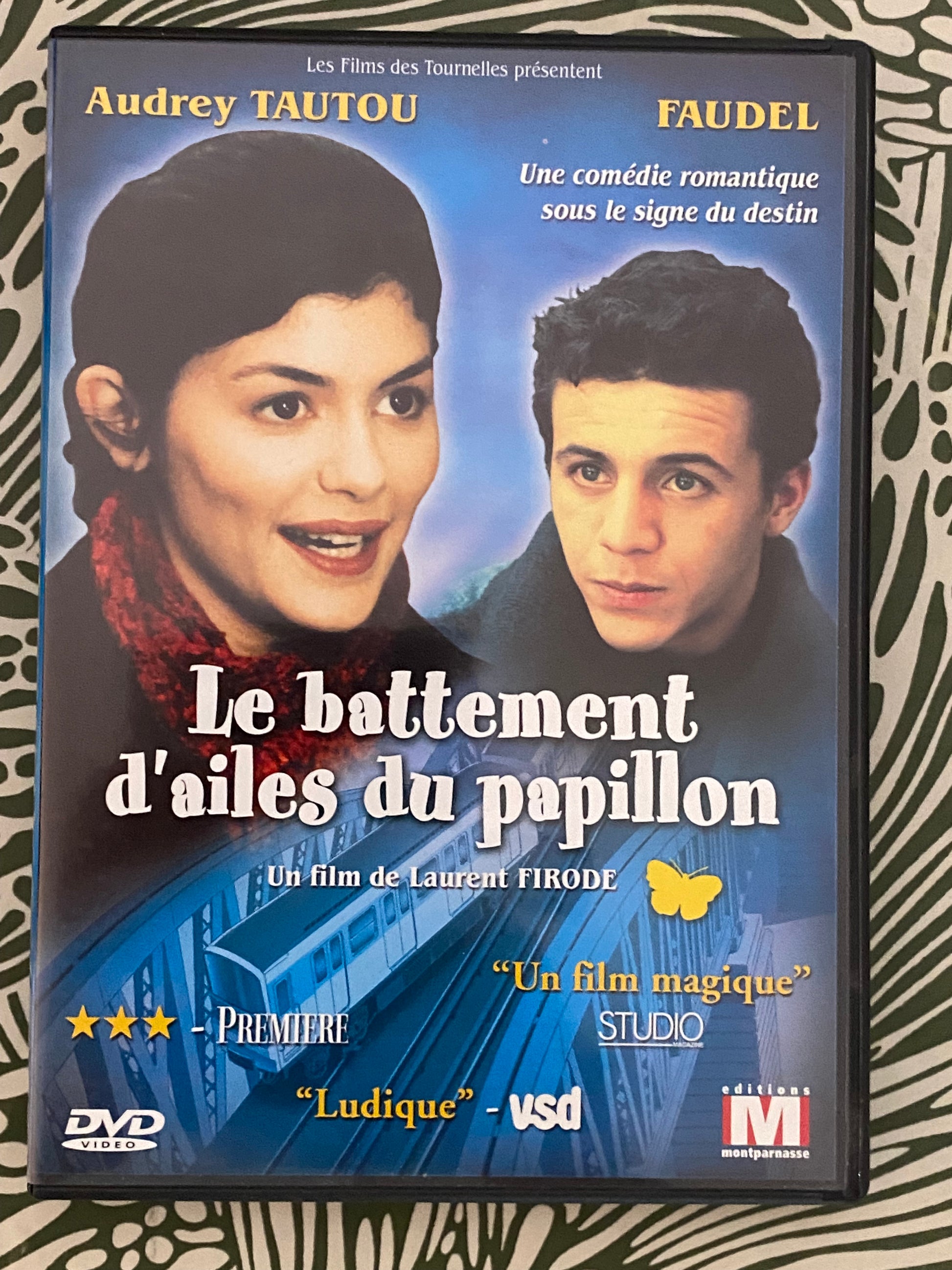DVD film Le battement d’ailes du papillon