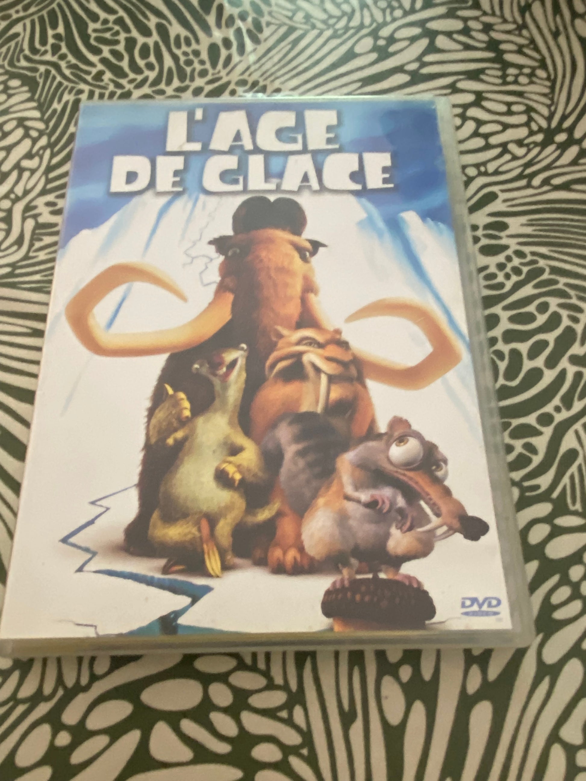 DVD dessin animé L’Age de Glace