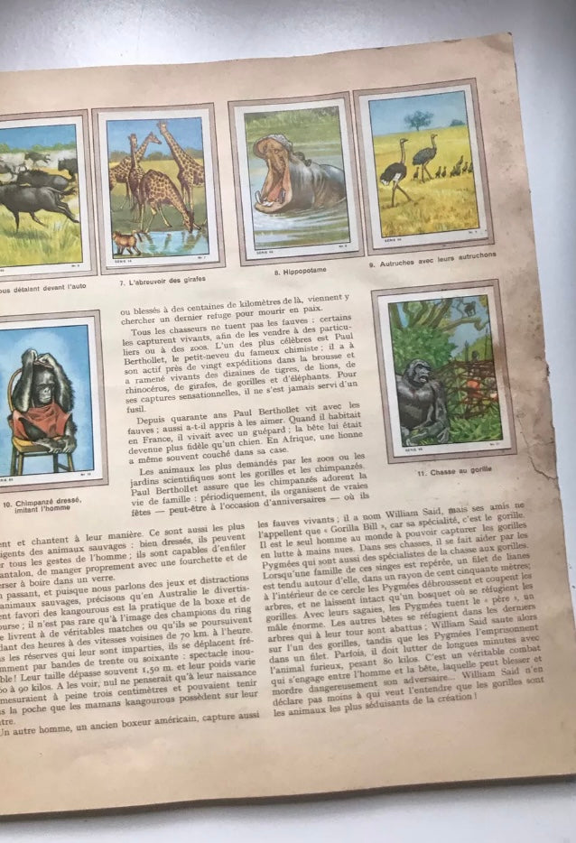 Album d’images Nestlé ancien 1957-1958. Complet. Les merveilles du monde