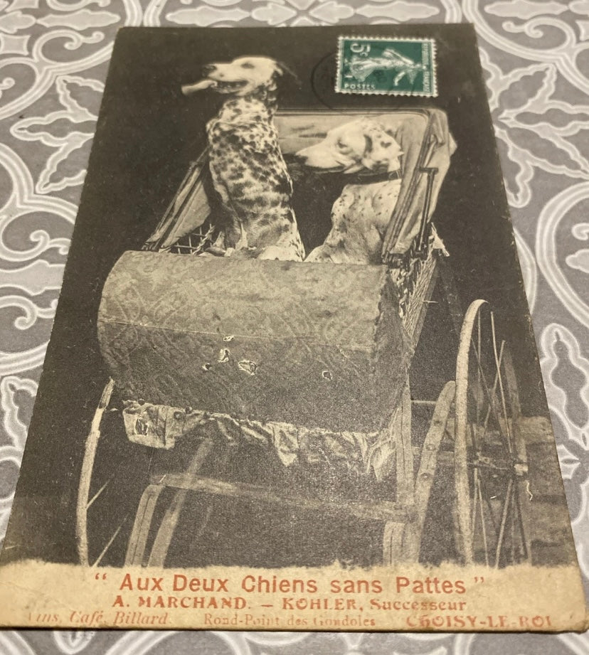 Cartes postales anciennes Choisy le Roi. Aux deux chiens sans pattes Lot de 2. Rare