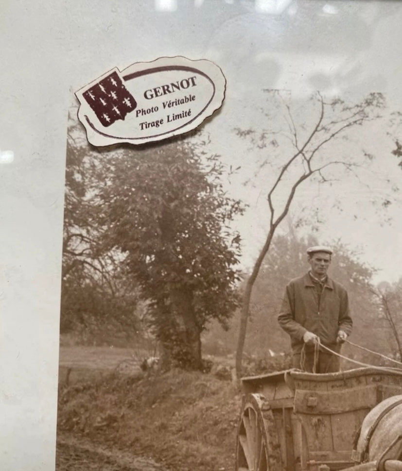 Photo véritable Gernot numérotée et signée. A l’approche de l’hiver