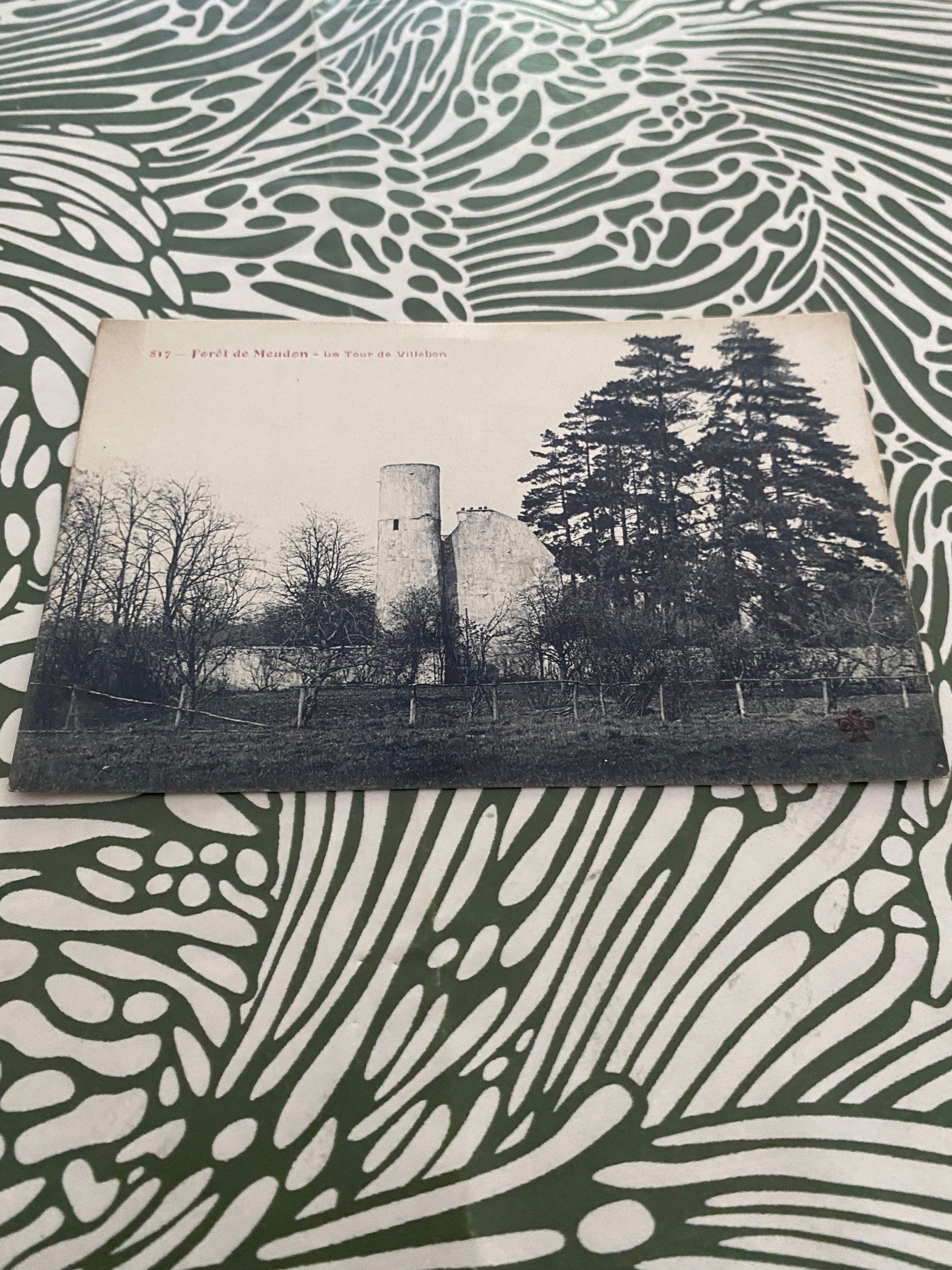 Carte postale ancienne Forêt de Meudon La tour de Villebon