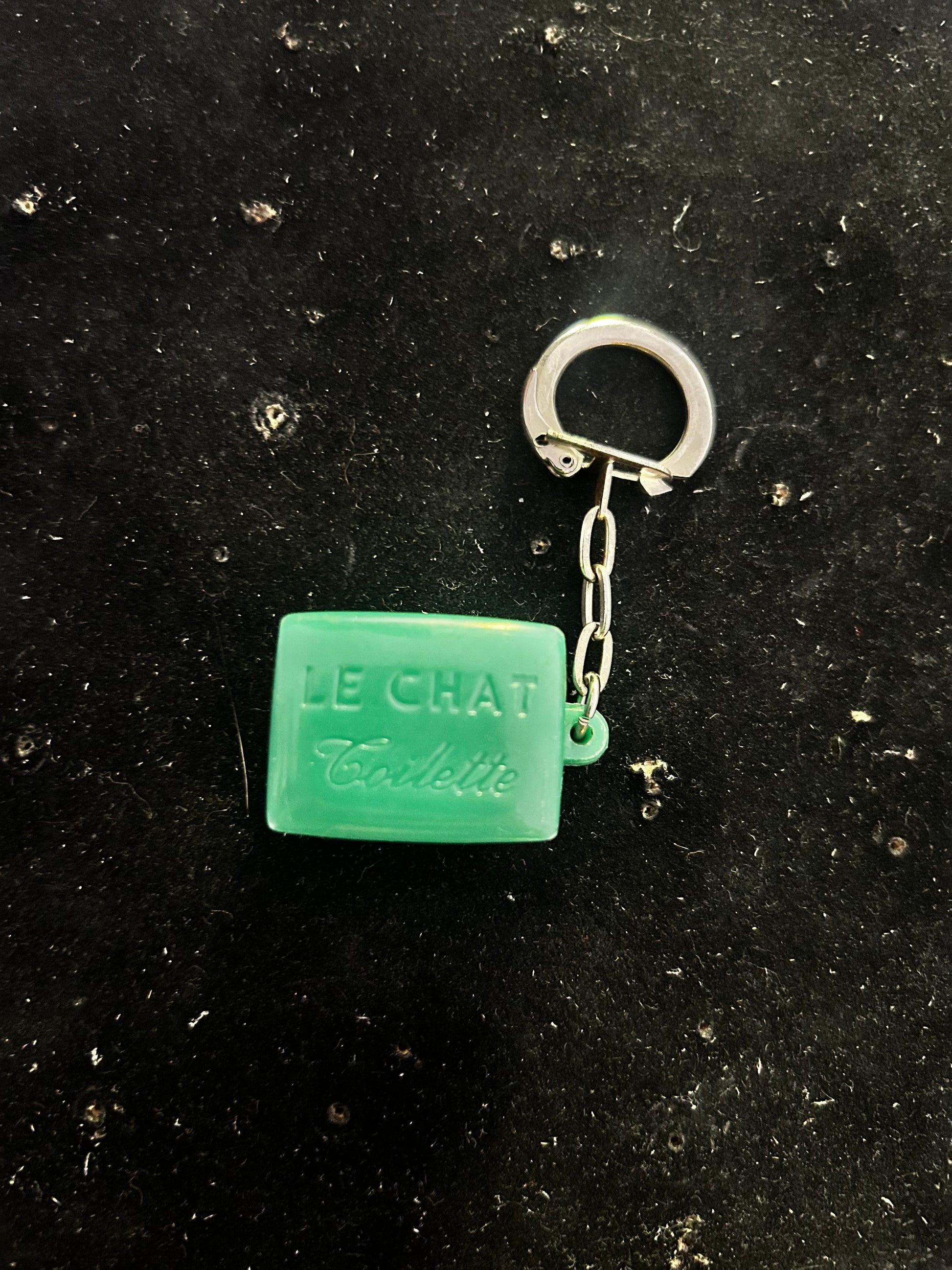 Porte clefs Le Chat Toilette
