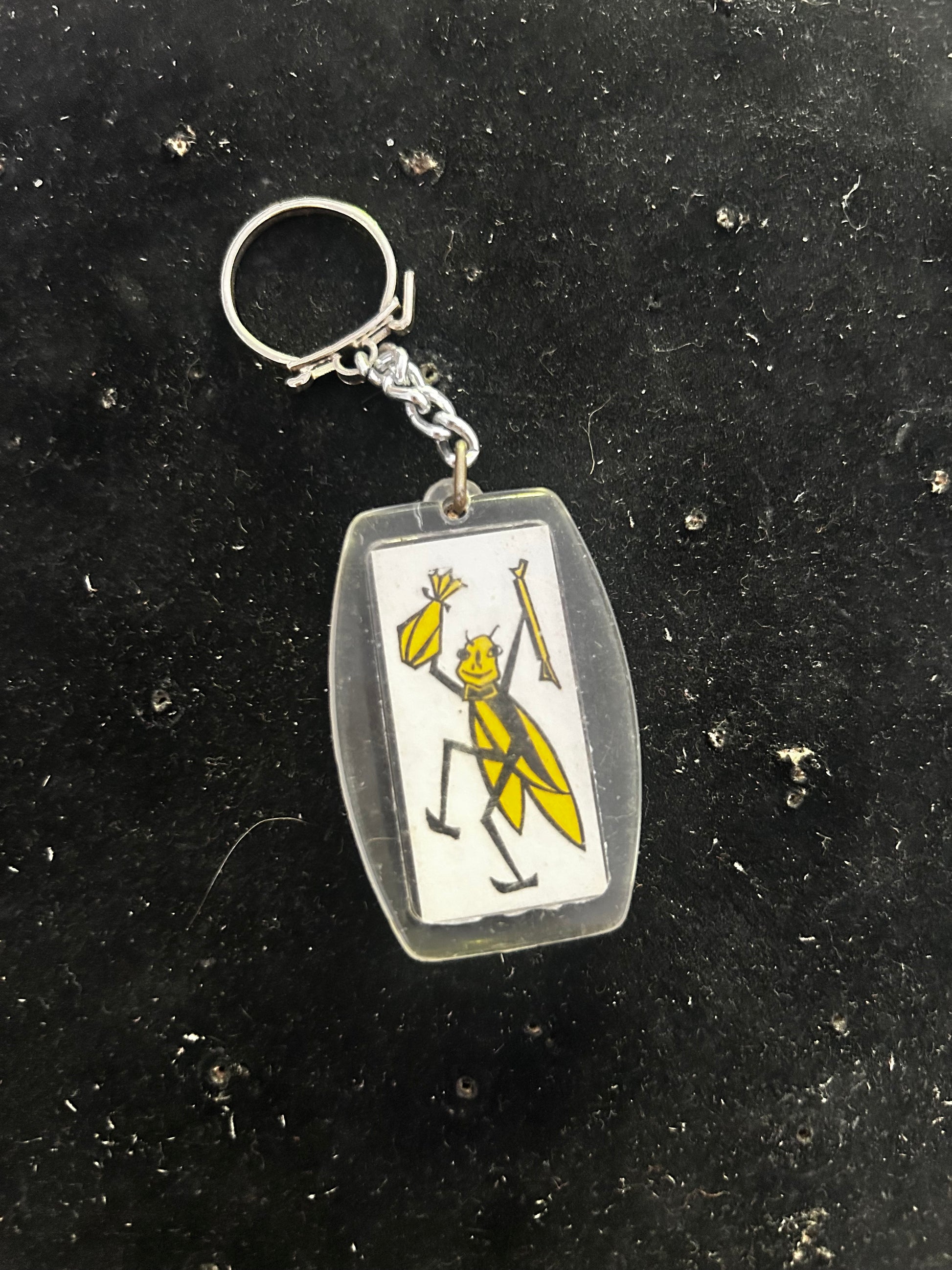 Porte clefs la Cigale de Provence