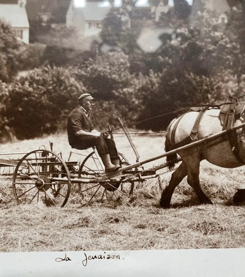 Photo ancienne dans son cadre Gernot véritable numérotée et signée. Paysan