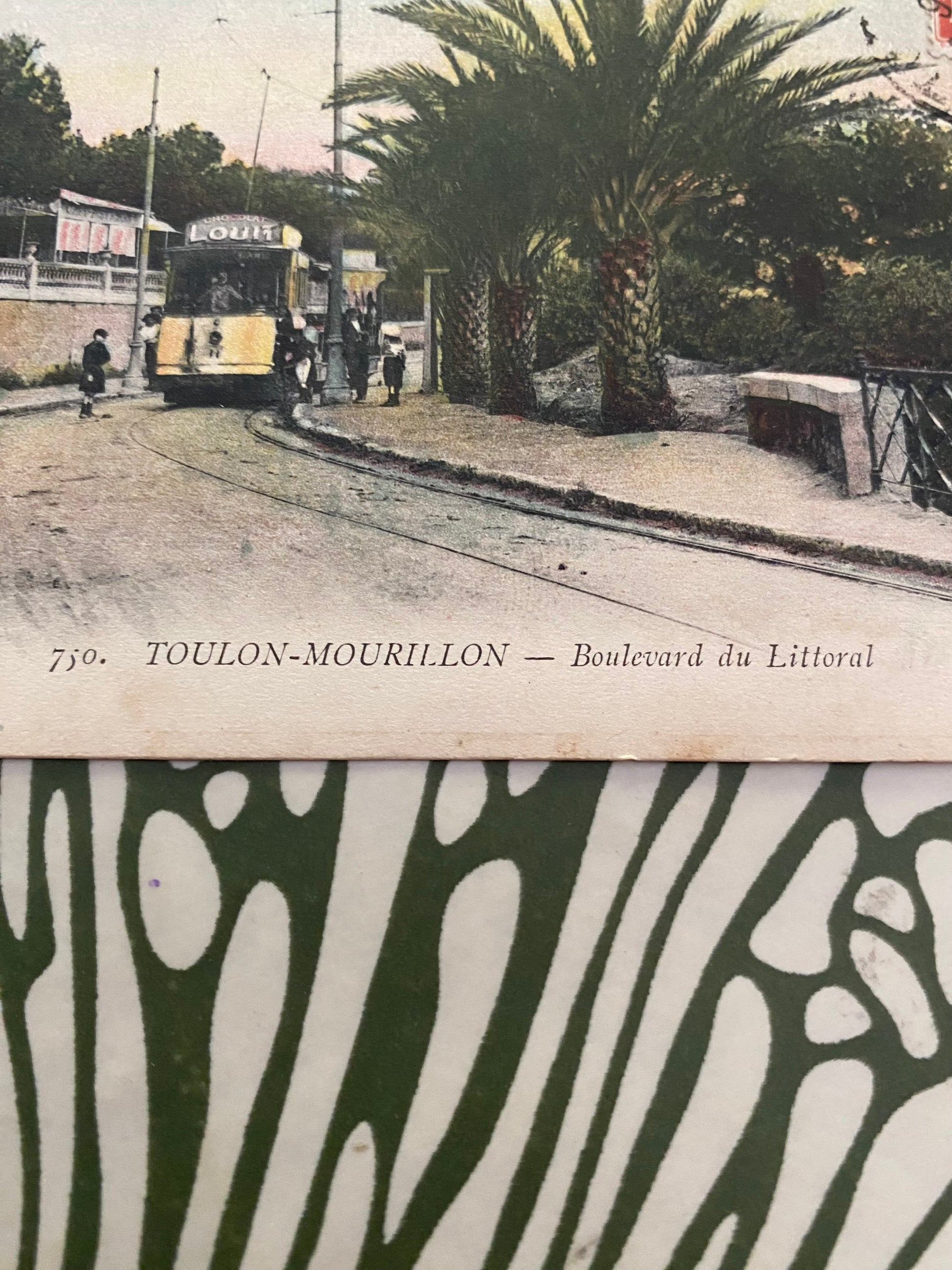 Carte postale ancienne Toulon-Mourillon. Boulevard du Littoral