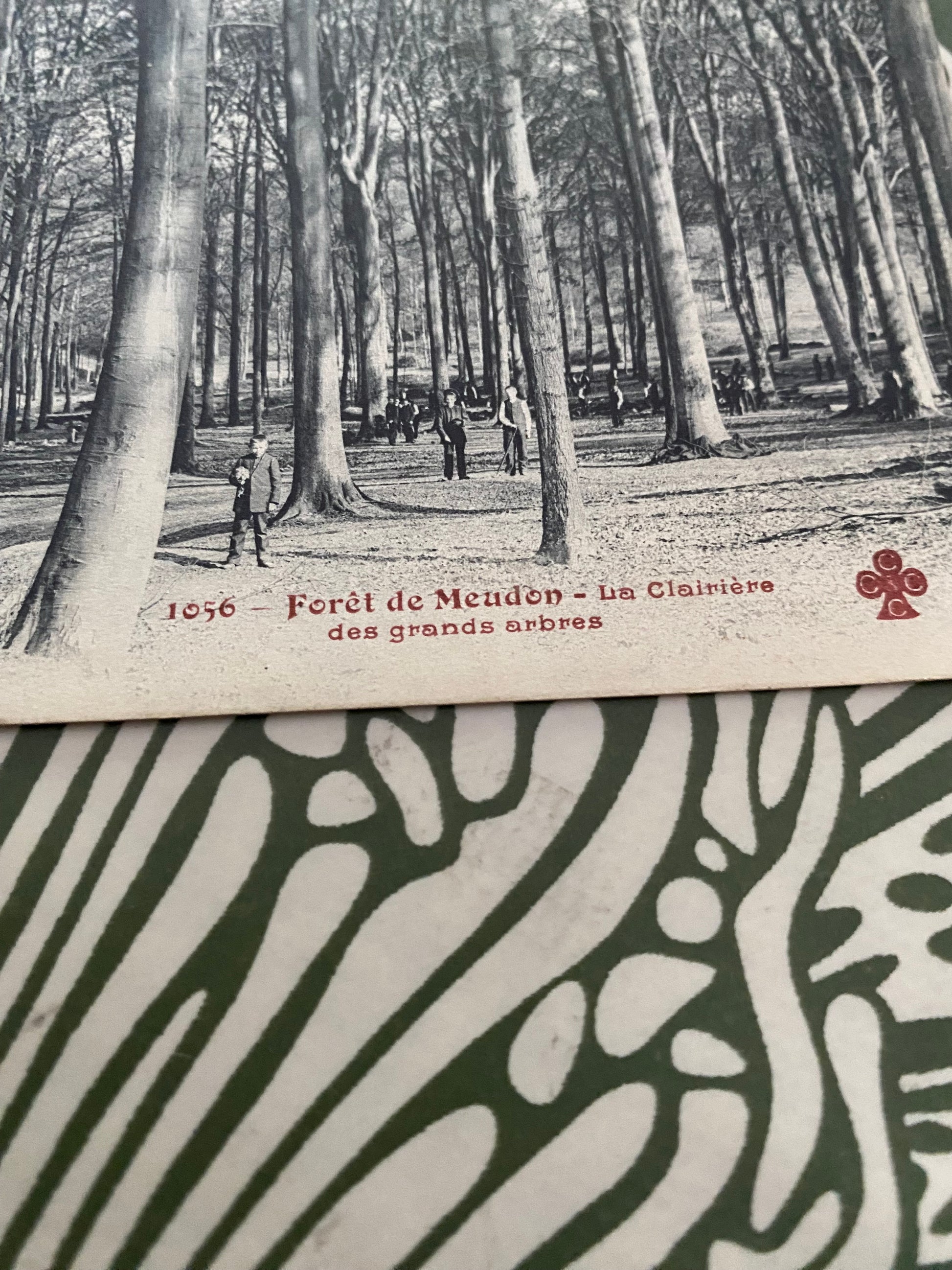 Carte postale ancienne Forêt de Meudon la clairière des grands arbres