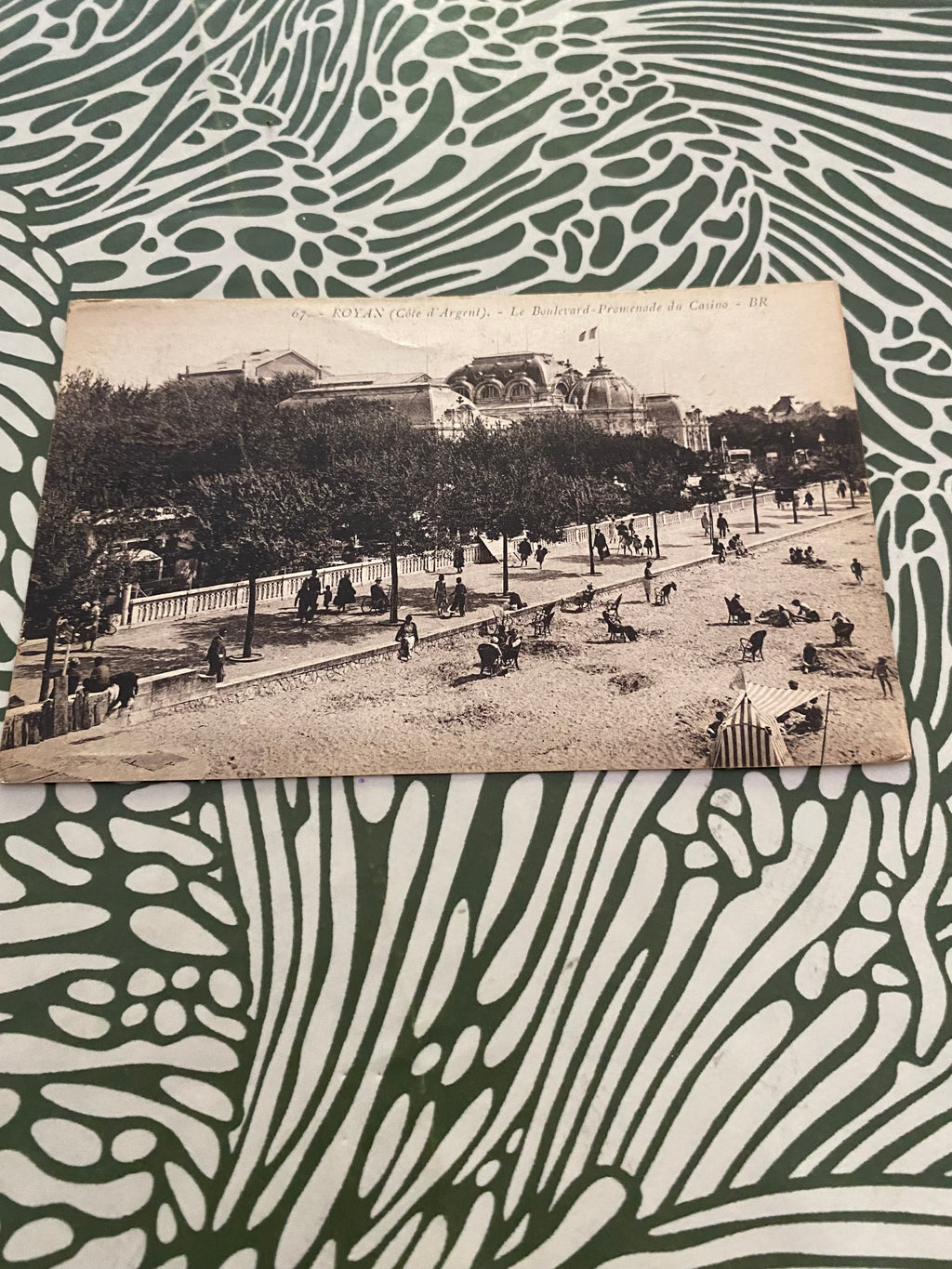 Carte postale ancienne. Royan Le boulevard promenade du Casino