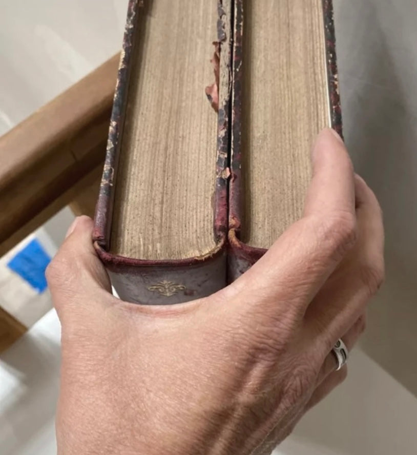 Livres anciens rares the illustrated American Volume 1-2 E. M. 1893