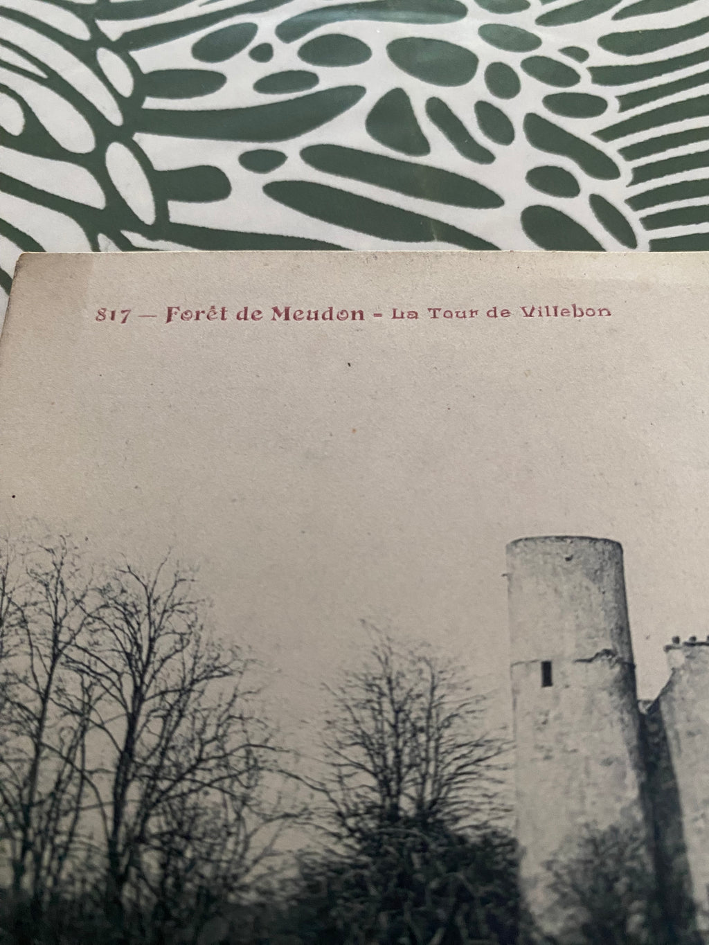 Carte postale ancienne Forêt de Meudon La tour de Villebon