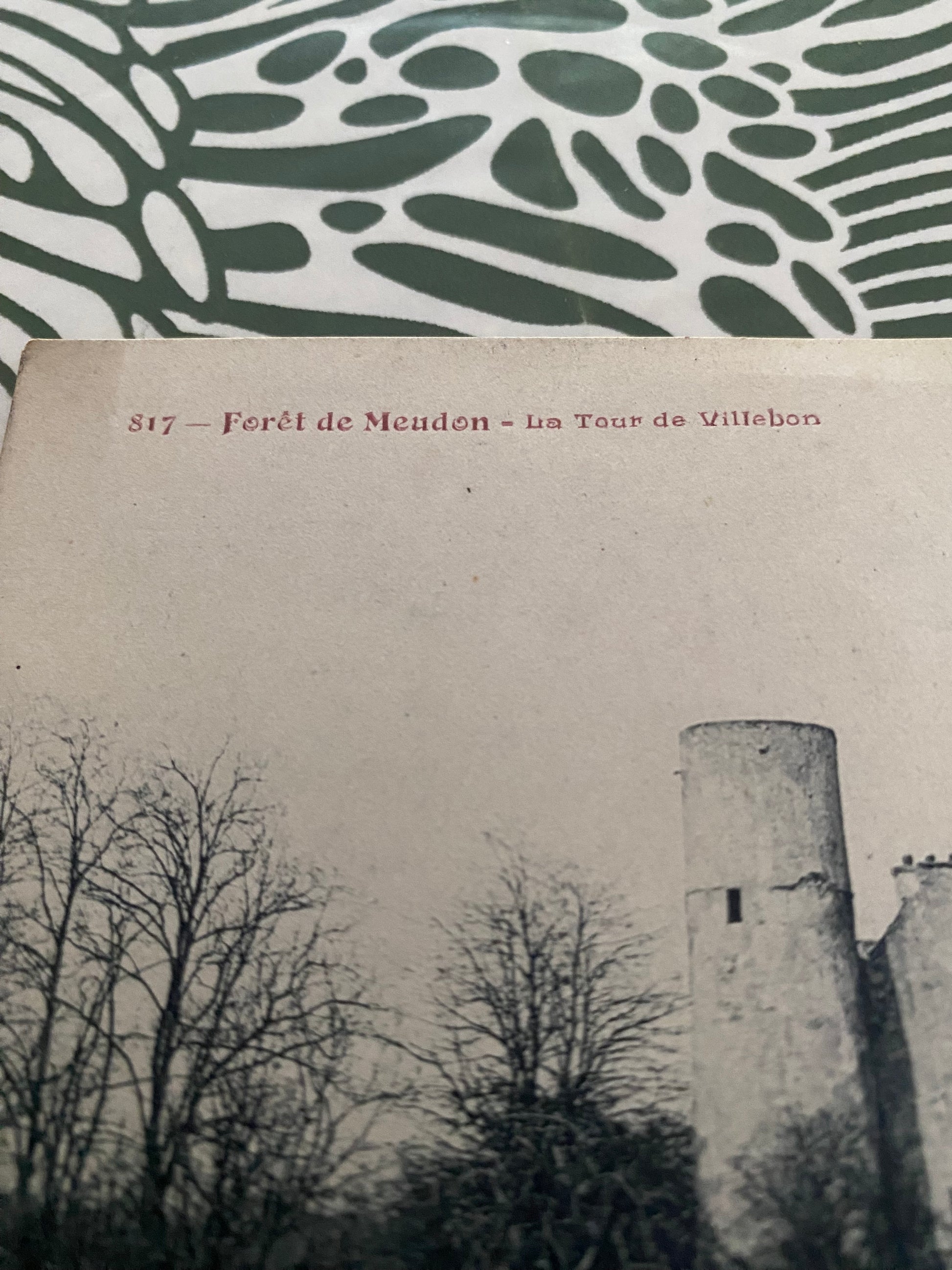 Carte postale ancienne Forêt de Meudon La tour de Villebon