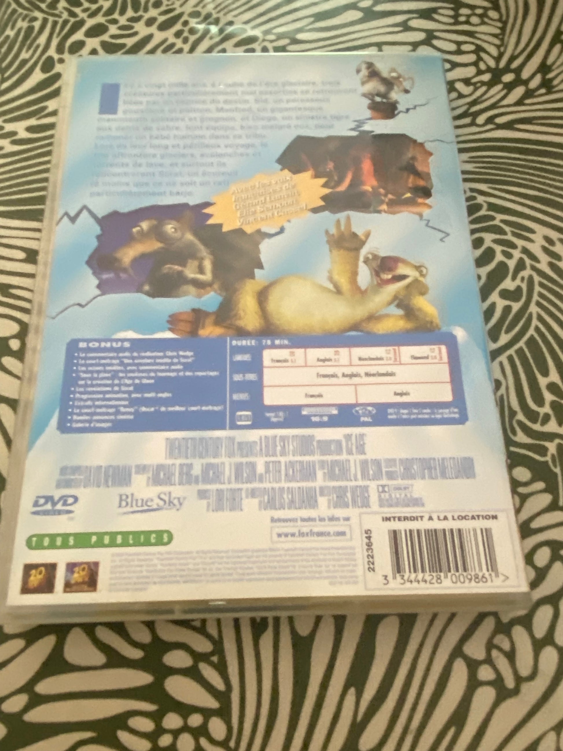 DVD dessin animé L’Age de Glace