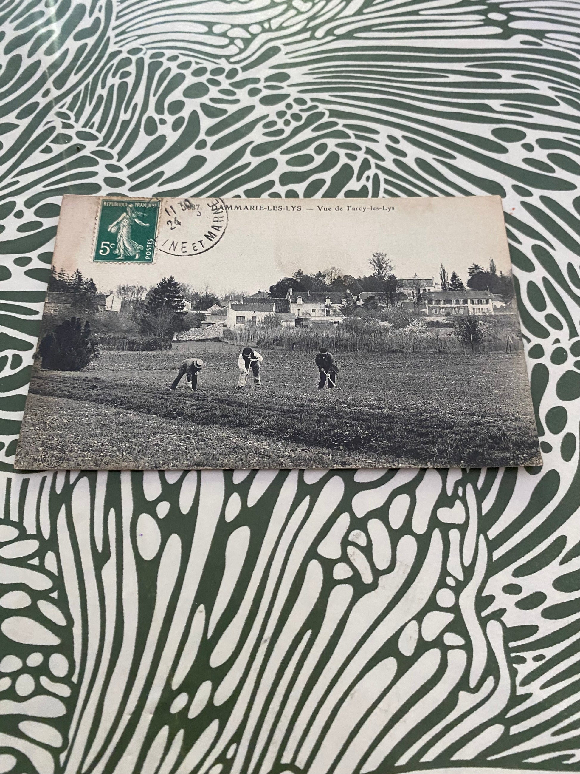Carte postale ancienne Dammarie-Les-Lys. Vue de Farcy-Les-Lys.