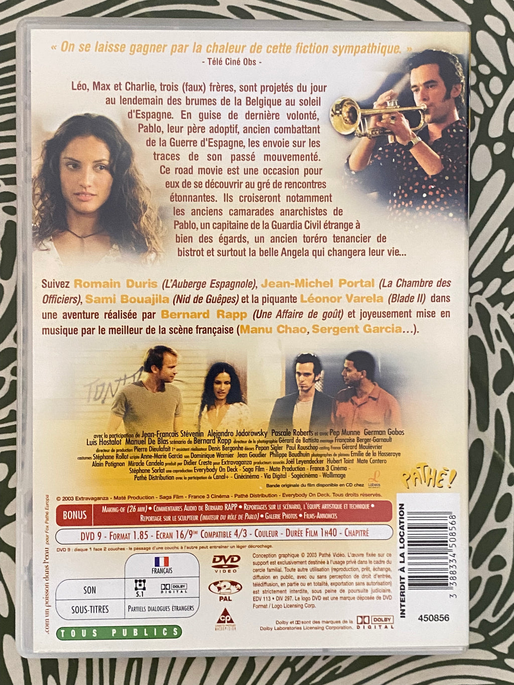 DVD film Pas si Grave