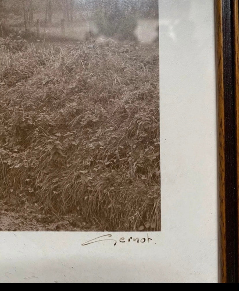 Photo véritable Gernot numérotée et signée. A l’approche de l’hiver