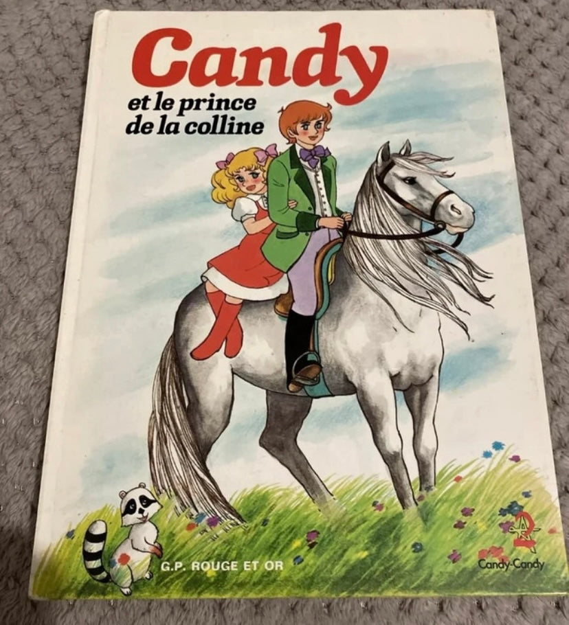 Livre ancien pour les nostalgiques Candy et le prince de la colline 1980