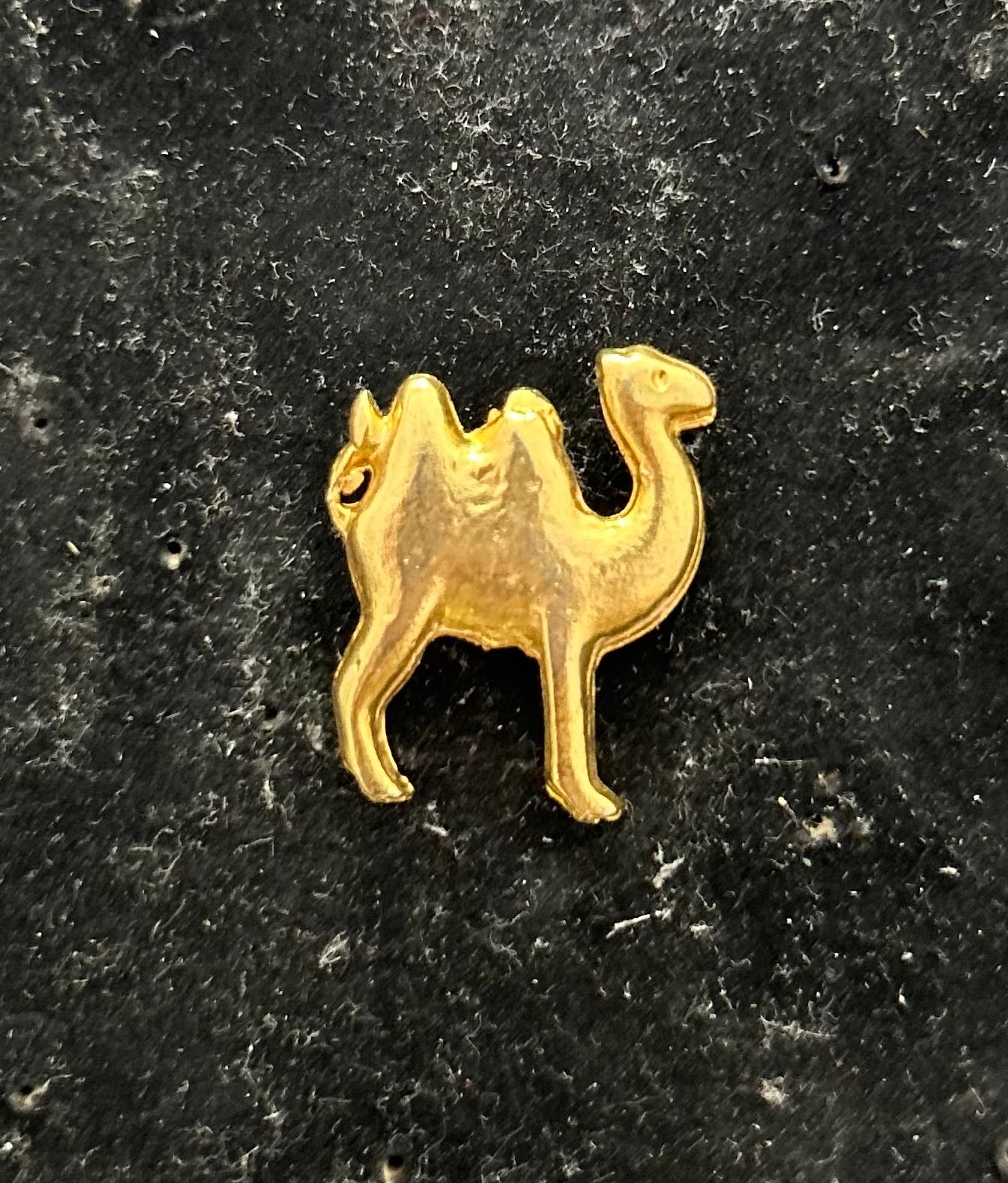 Pin’s de collection ancien Chameaux