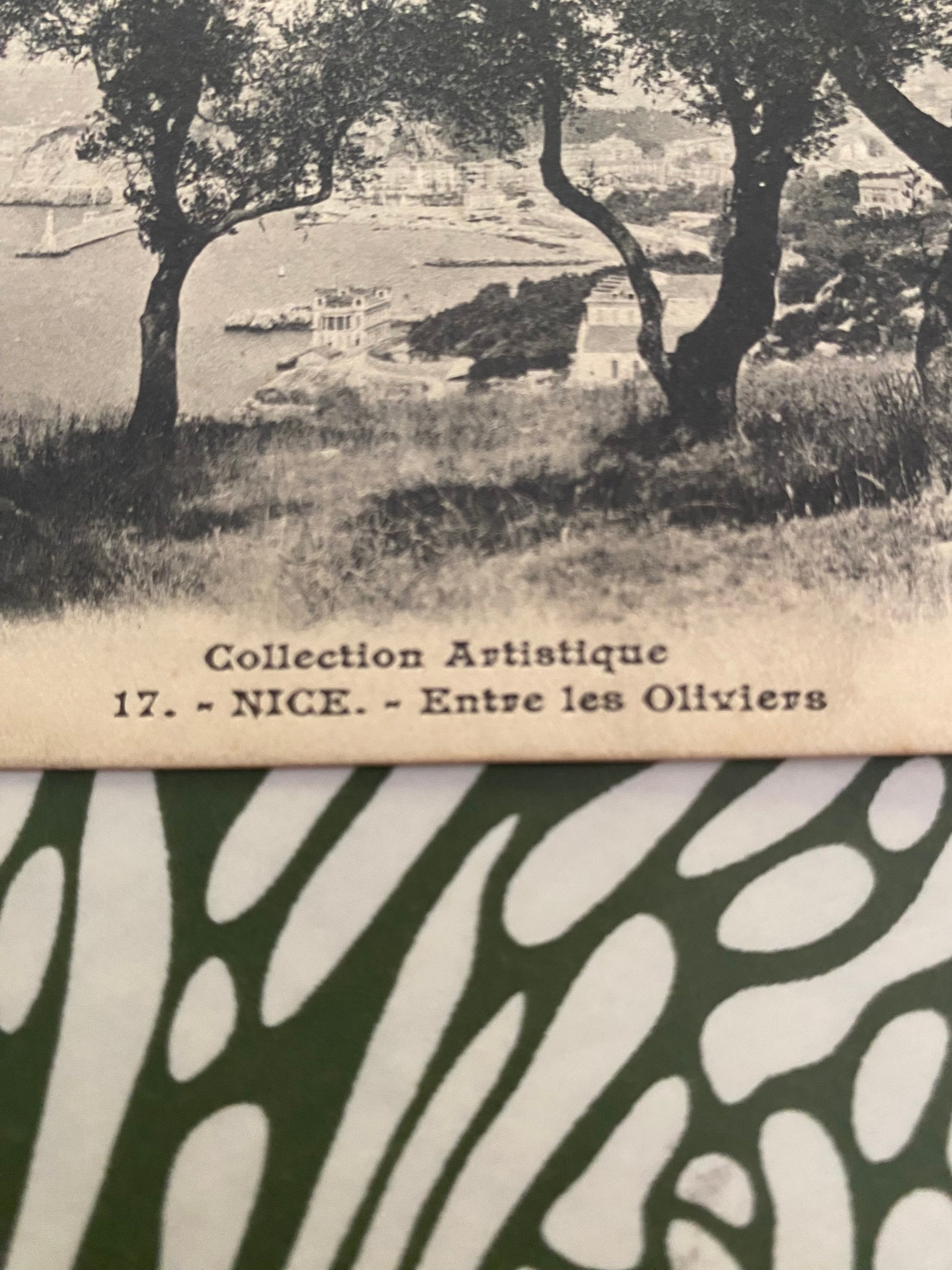 Carte postale ancien Nice. Entre les Oliviers