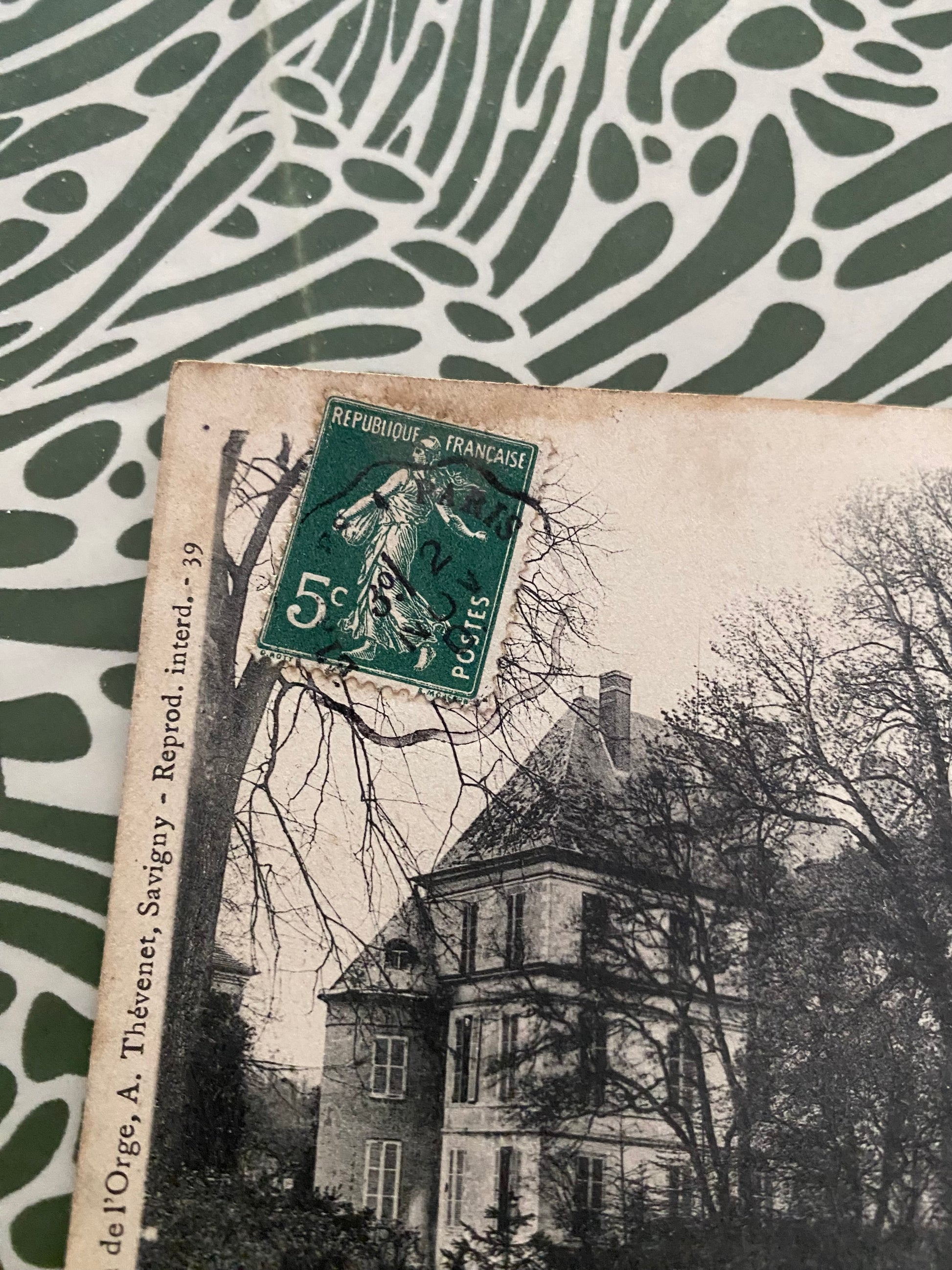 Carte postale ancienne savigny Sur Orge. Le Château vu du Parc.