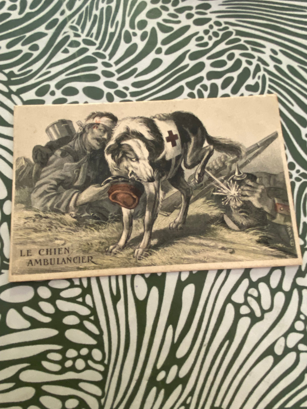 Carte postale ancien. Les Chien Ambulancier