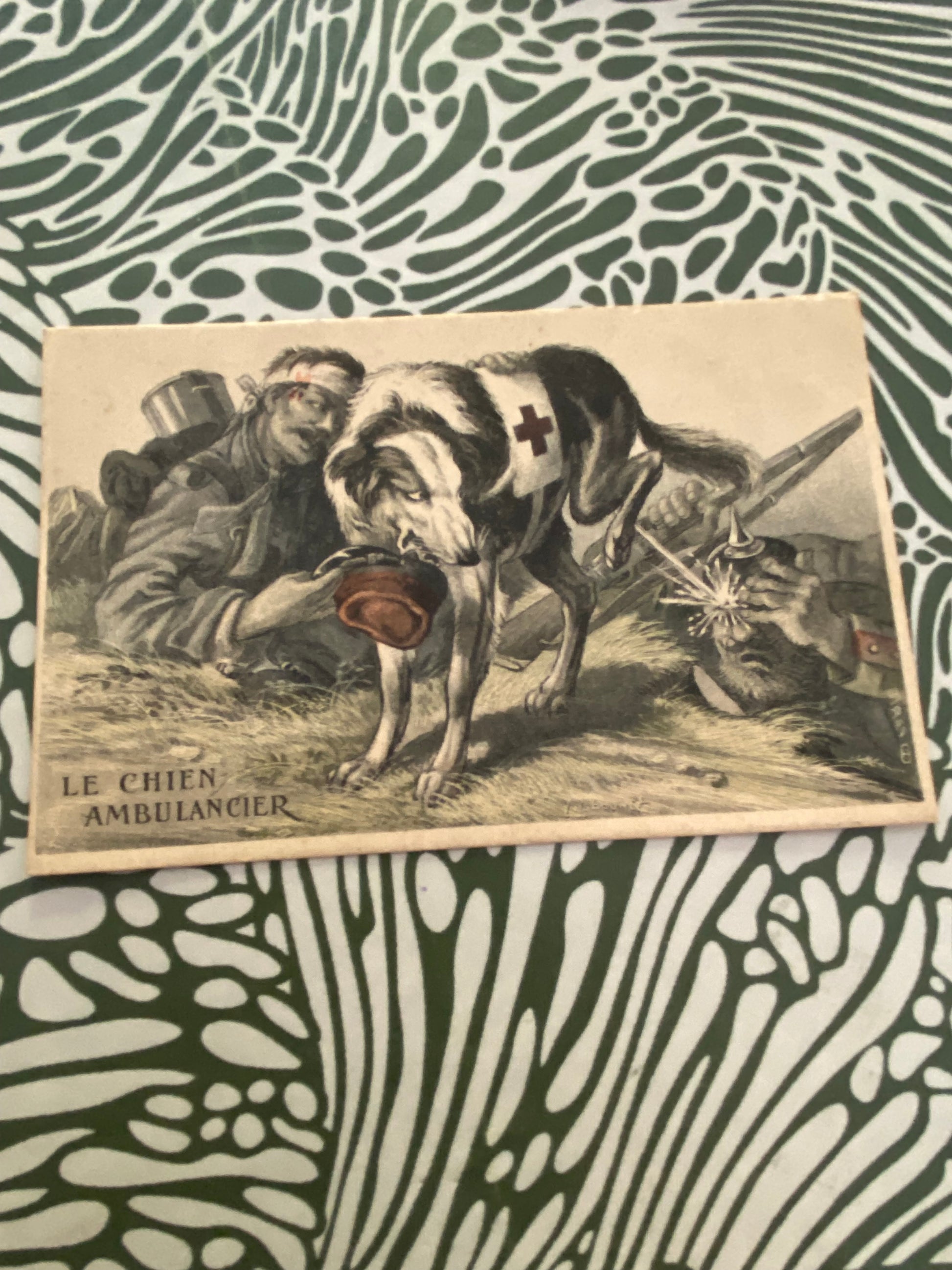 Carte postale ancien. Les Chien Ambulancier