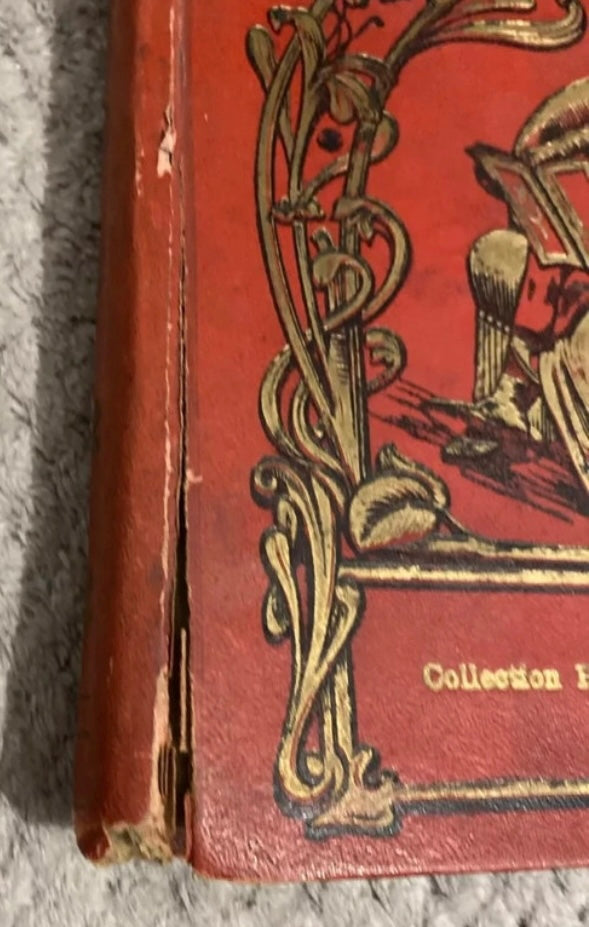Livre ancien Robinson de douze ans. Mme Malles de Beaulieu. 1914