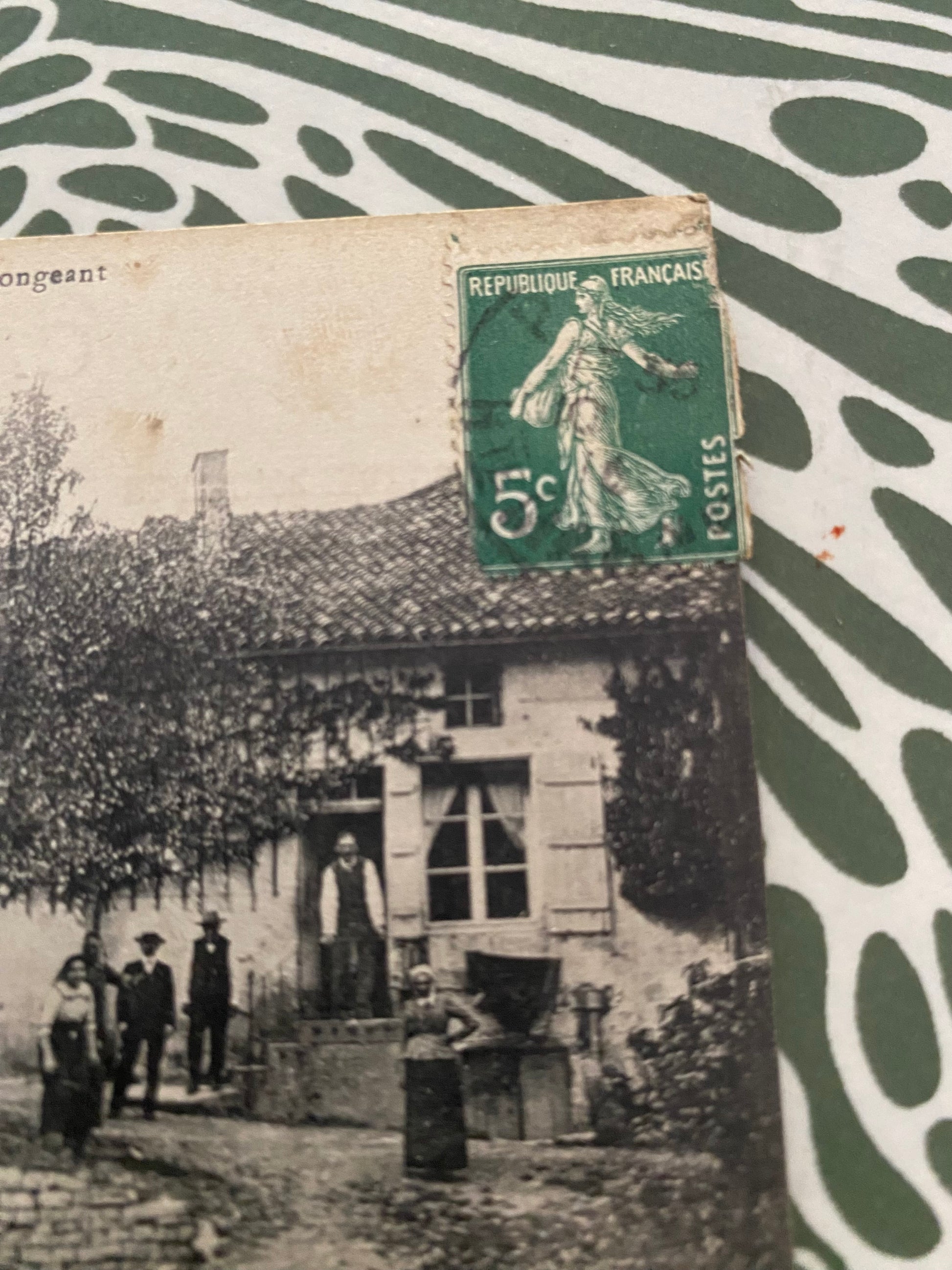 Carte postale ancienne. Poissons. Le Rongeant
