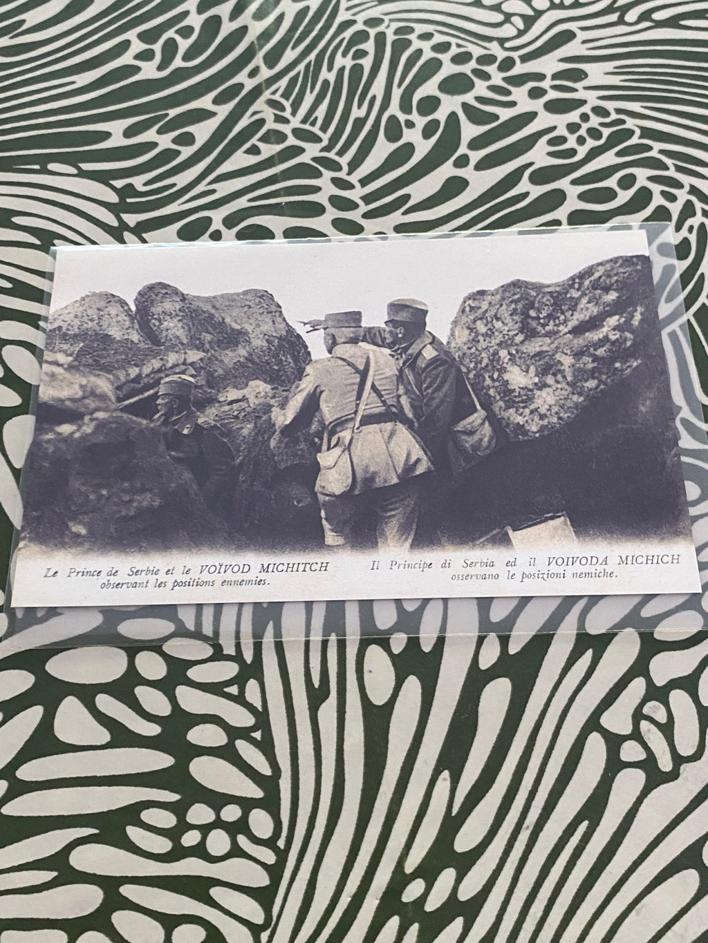 Carte postale ancienne. Le prince de Serbie et le Voivod Michitch observant les positions ennemies. Dans une pochette de protection