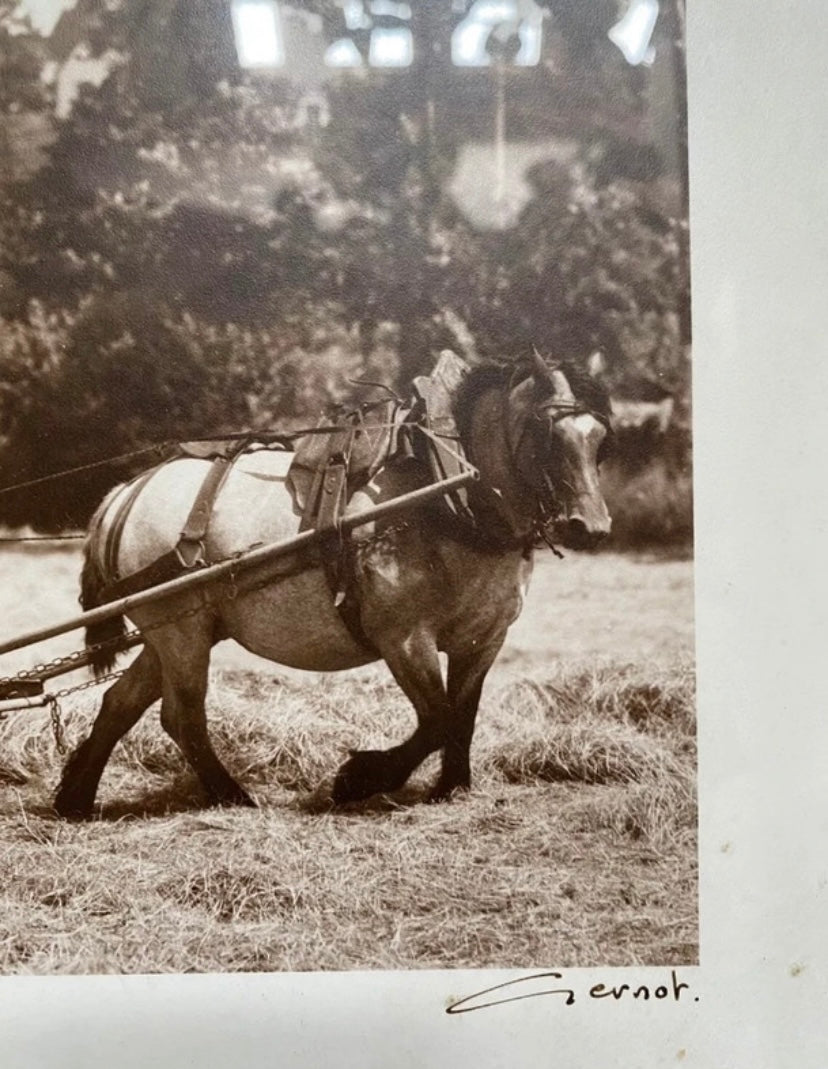 Photo ancienne dans son cadre Gernot véritable numérotée et signée. Paysan