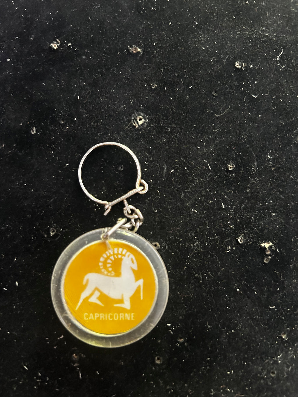 Porte clefs Shell Capricorne