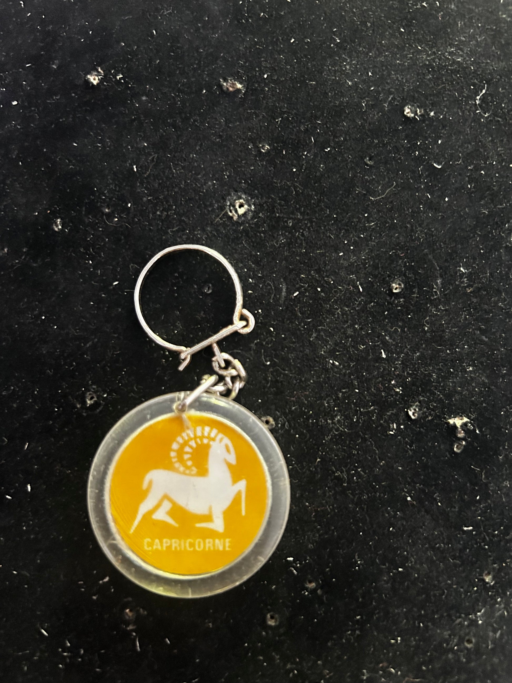 Porte clefs Shell Capricorne