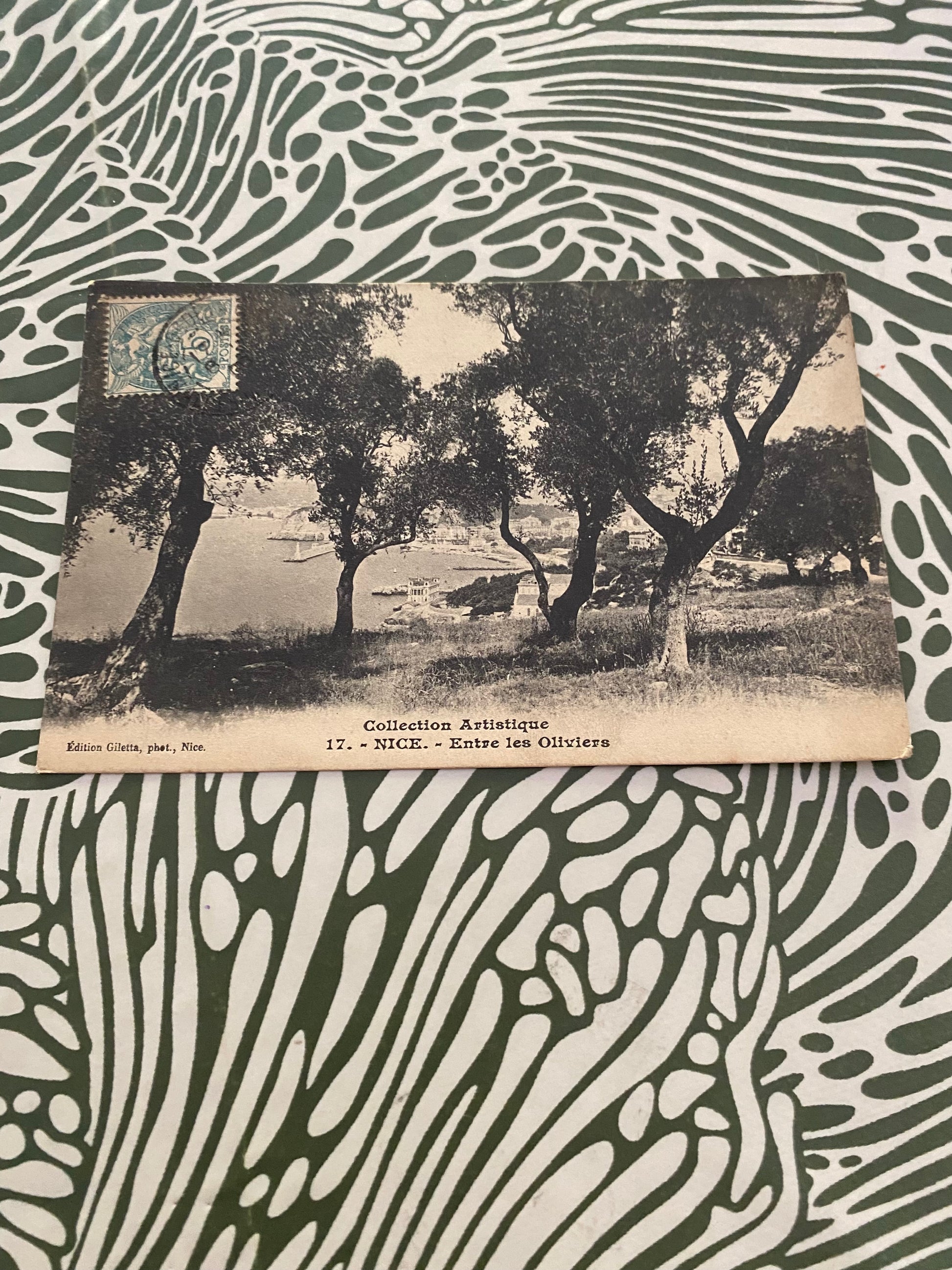 Carte postale ancien Nice. Entre les Oliviers