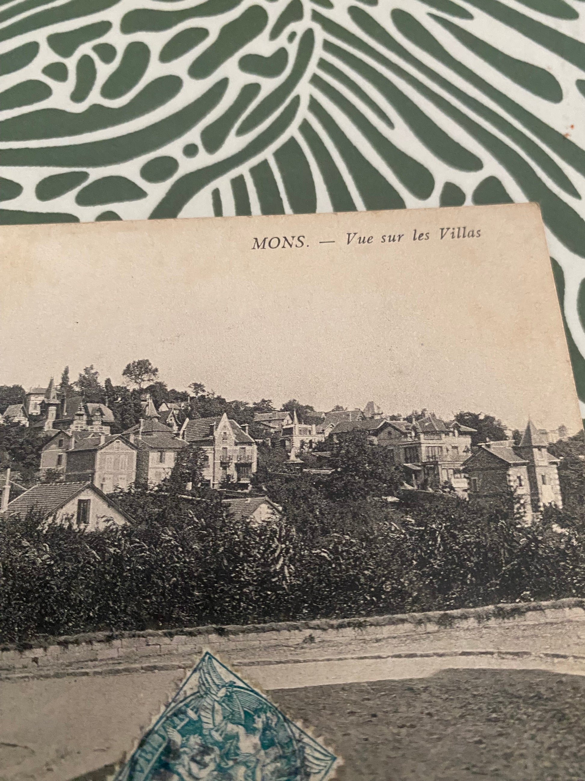 Carte postale ancienne Mons. Vu sur les villas.