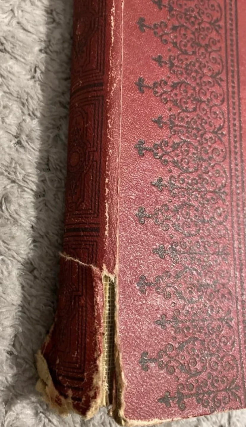 Livre ancien Petits Français Petites Françaises. René Allard 1921