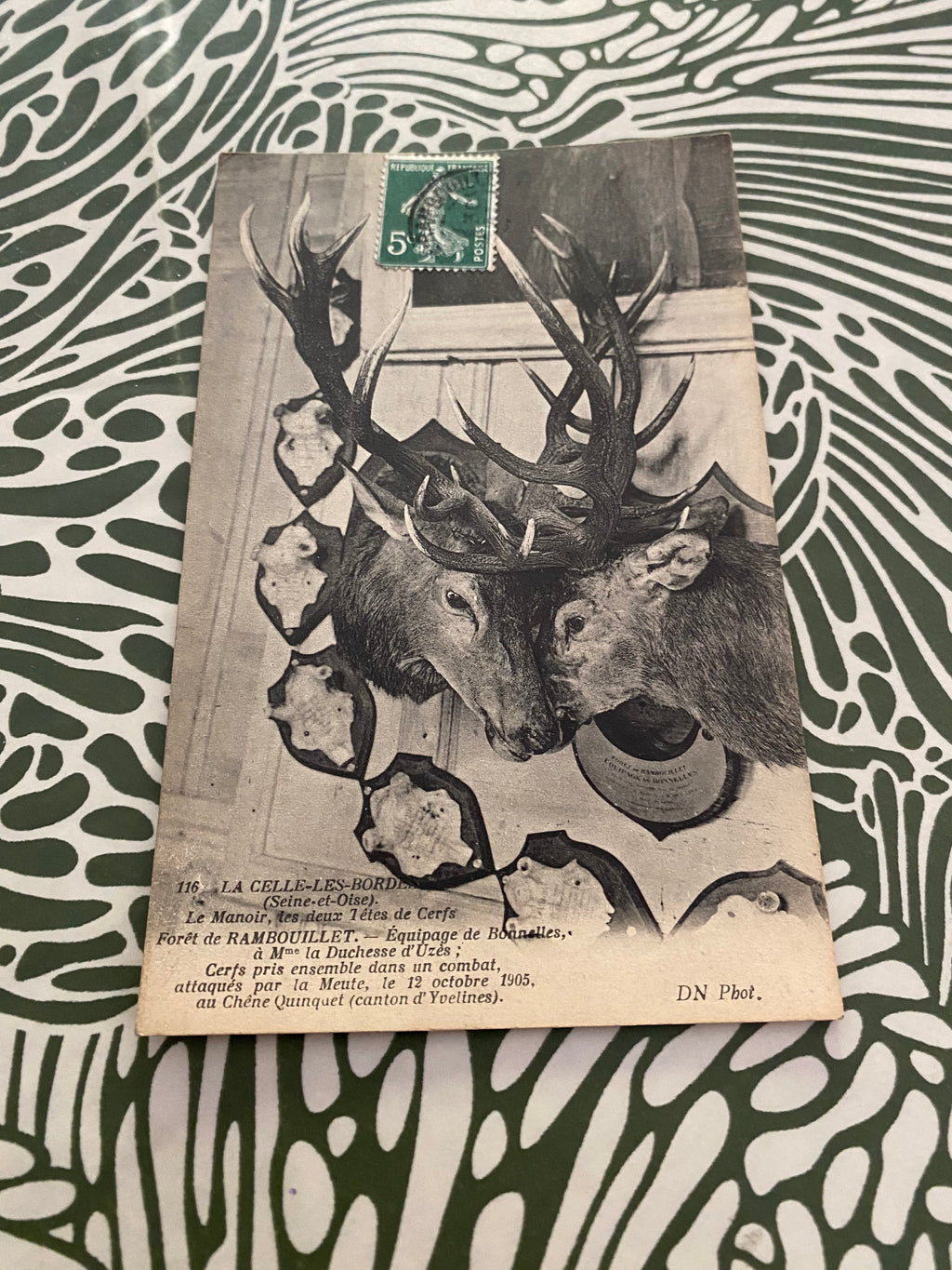 Carte postale ancienne La Celle-Les-Bordes Le manoir, les deux têtes de Cerfs