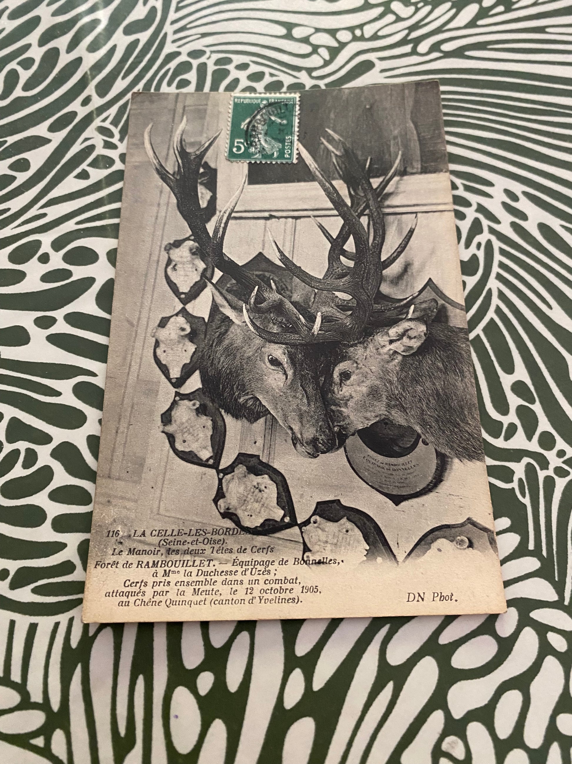 Carte postale ancienne La Celle-Les-Bordes Le manoir, les deux têtes de Cerfs