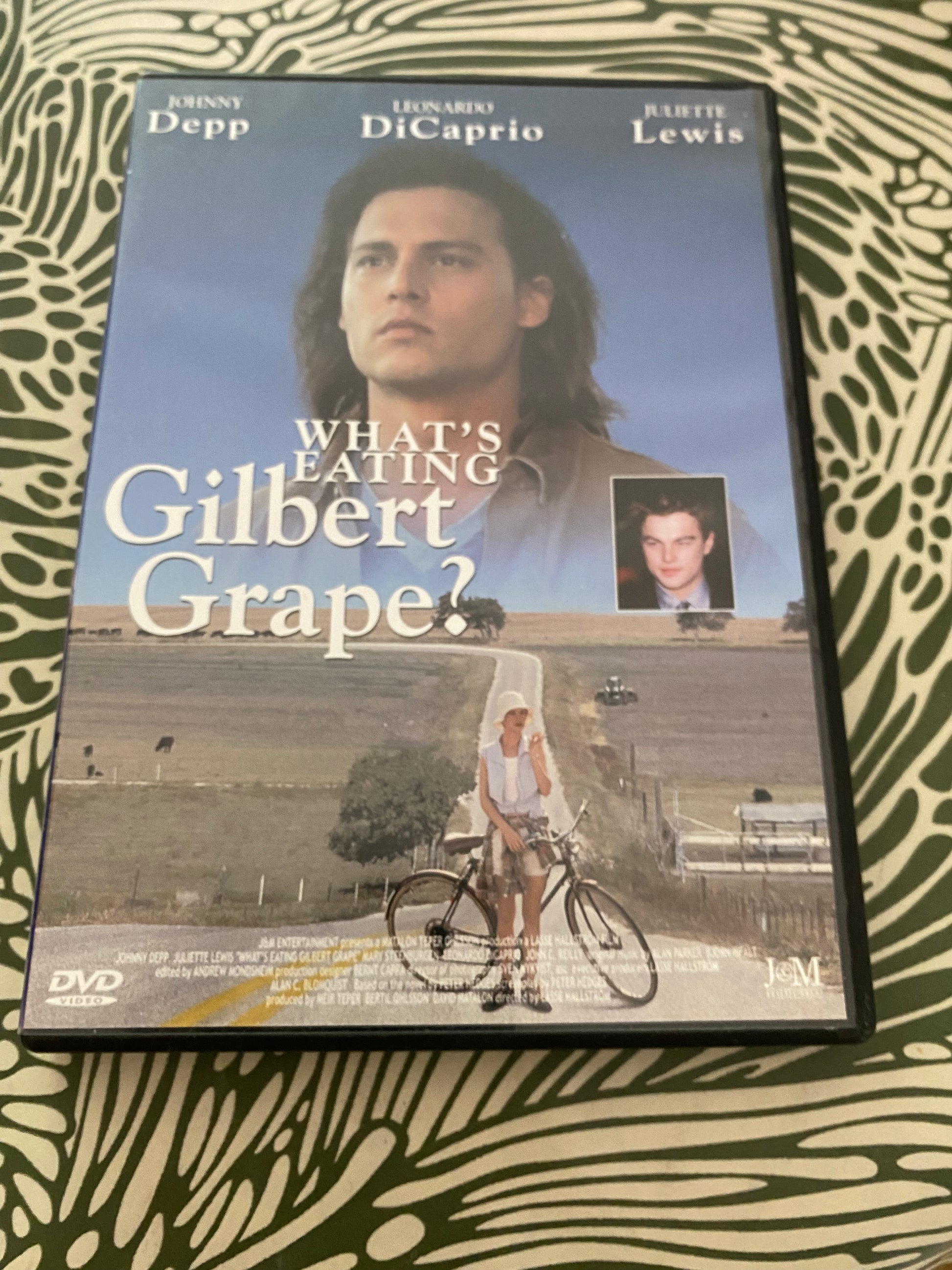 DVD film What’s Eating Gilbert Grape ?