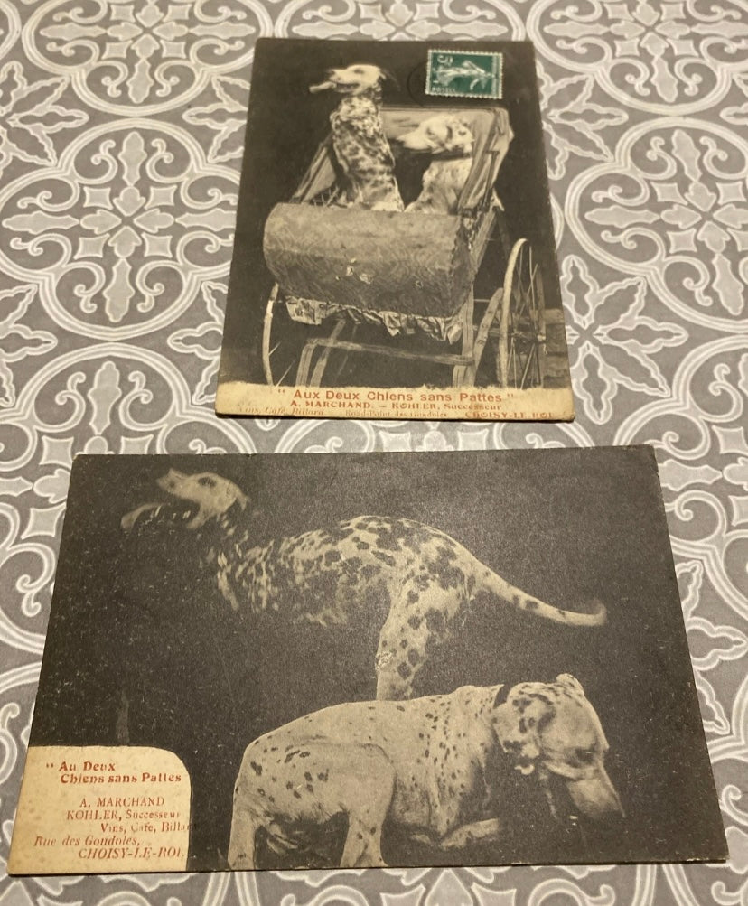 Cartes postales anciennes Choisy le Roi. Aux deux chiens sans pattes Lot de 2. Rare
